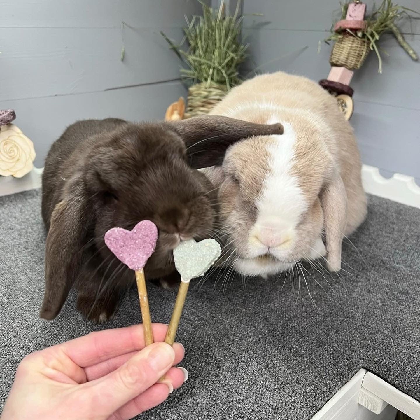 Heart Pops Treat Bag