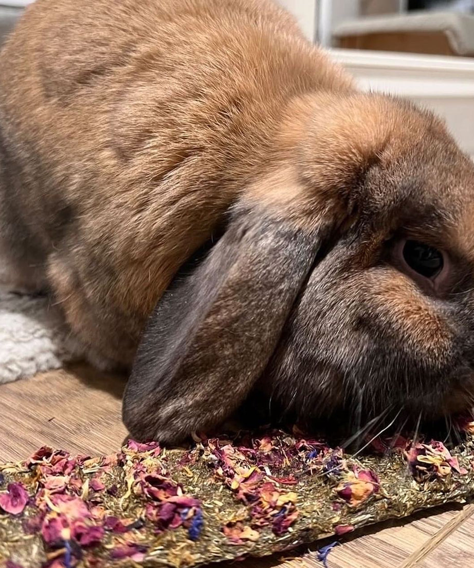Veggie Hay Snap and Share Bar