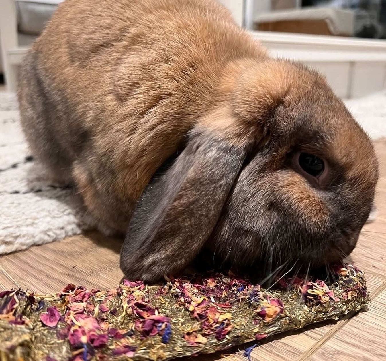 Veggie Hay Snap and Share Bar