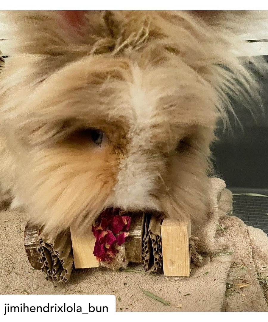 Floral Loofah Nibble and Chew Hanging Toy