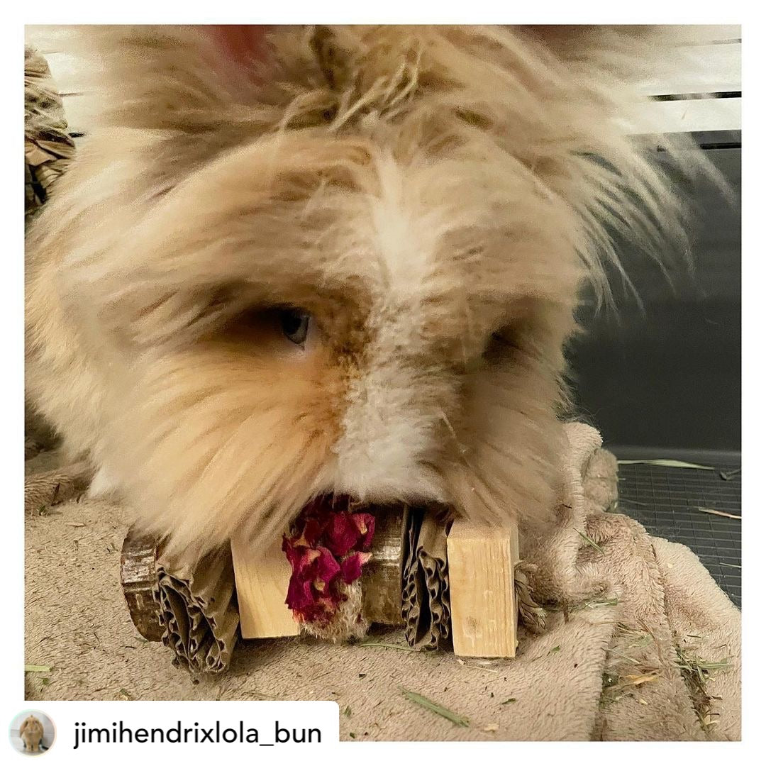 Floral Loofah Nibble and Chew Hanging Toy