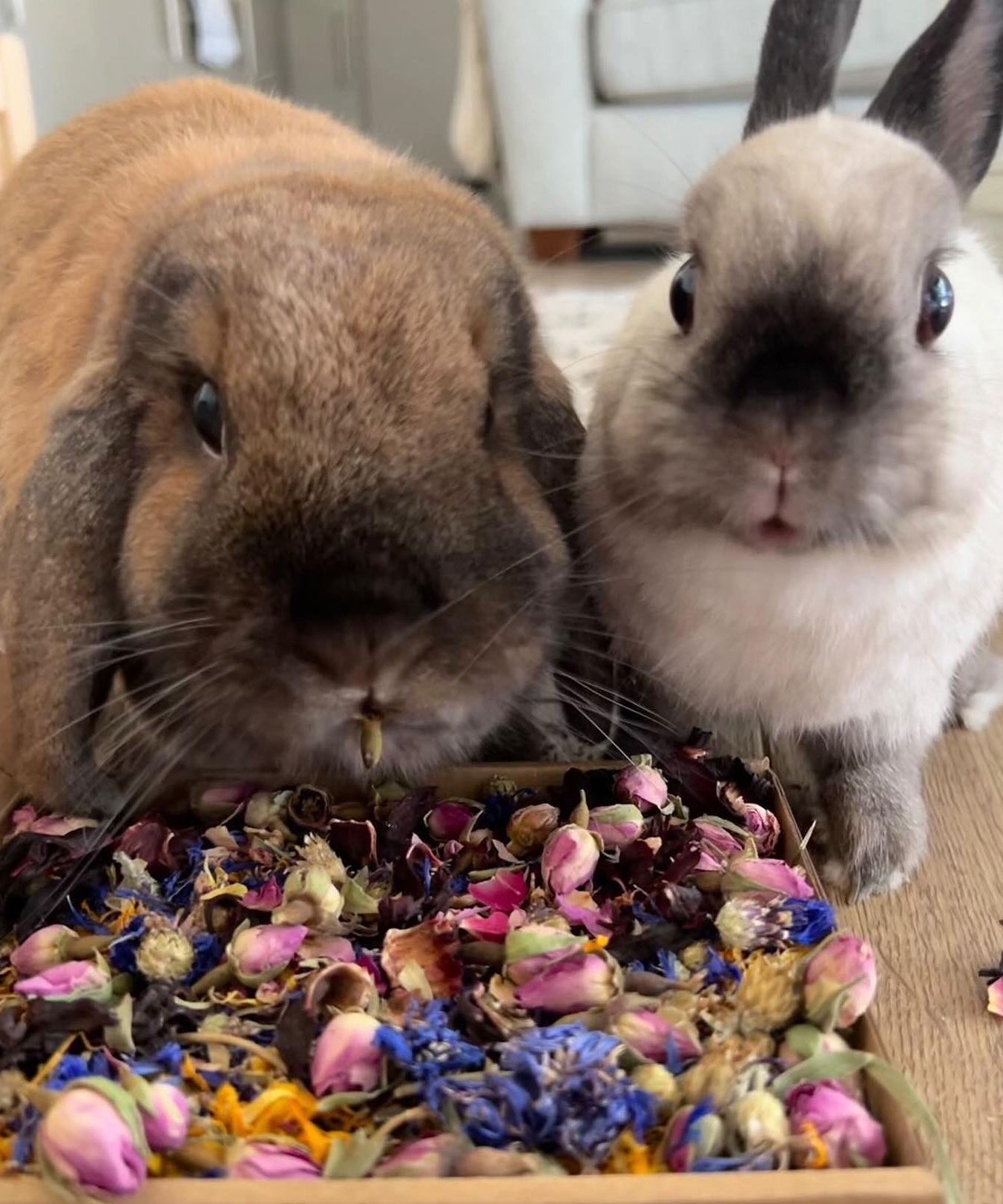 Birthday Confetti Mini Forage Box