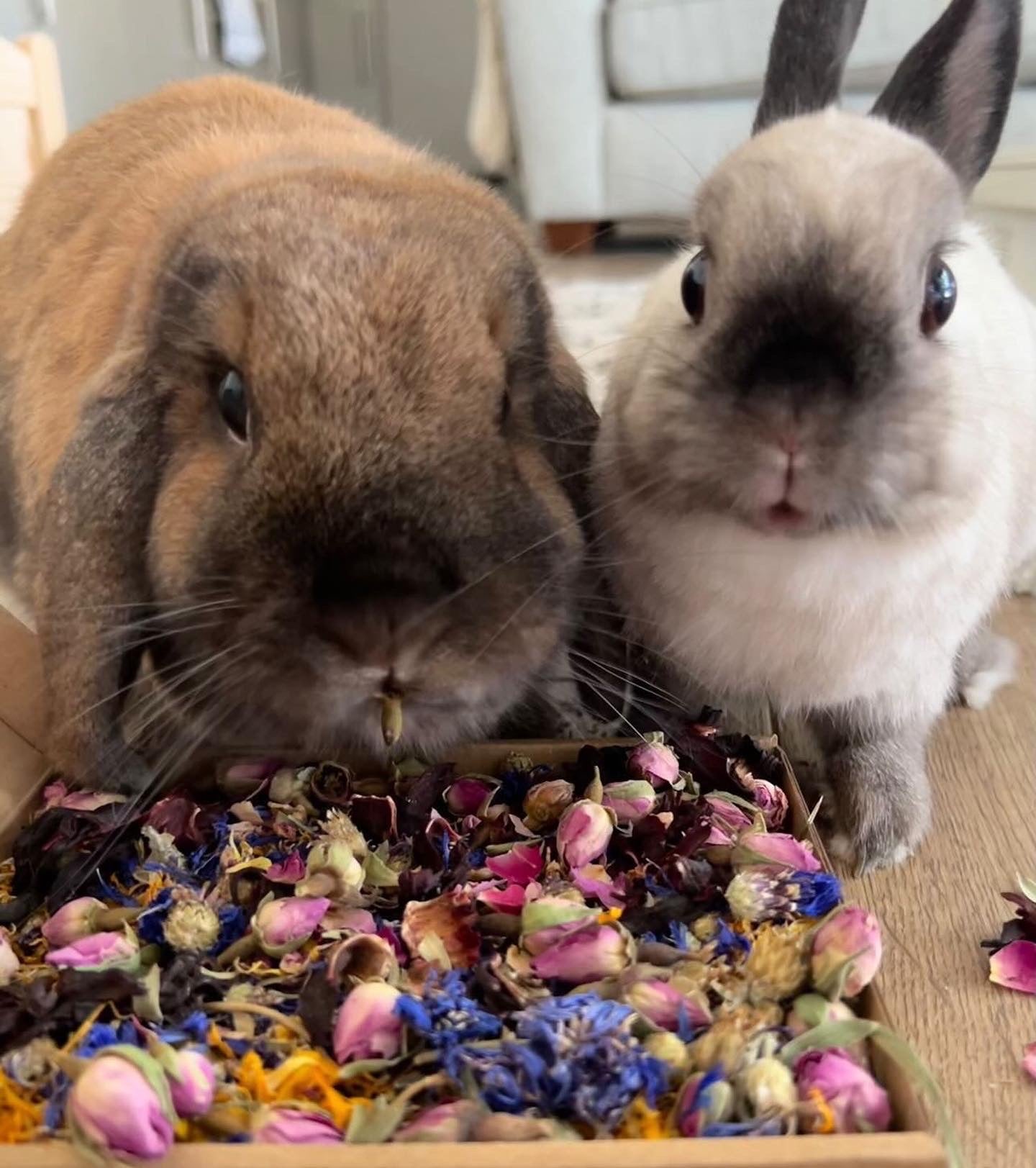 Birthday Confetti Mini Forage Box