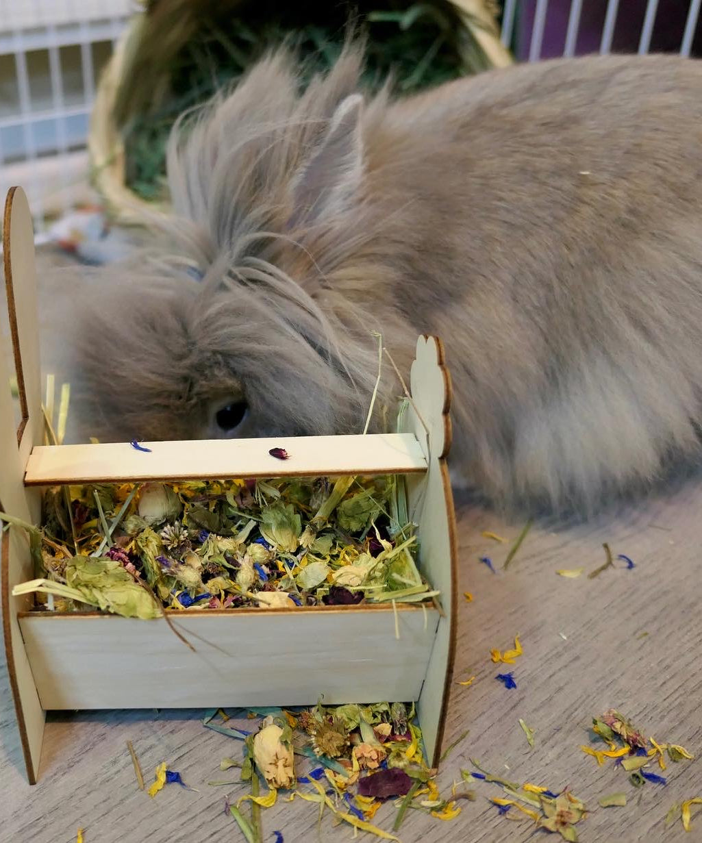 Bunny Forage Tray
