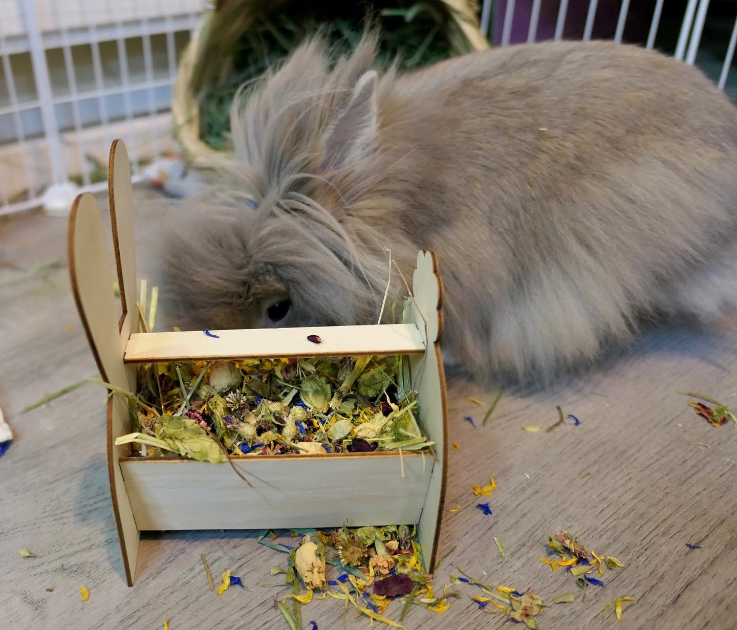 Bunny Forage Tray