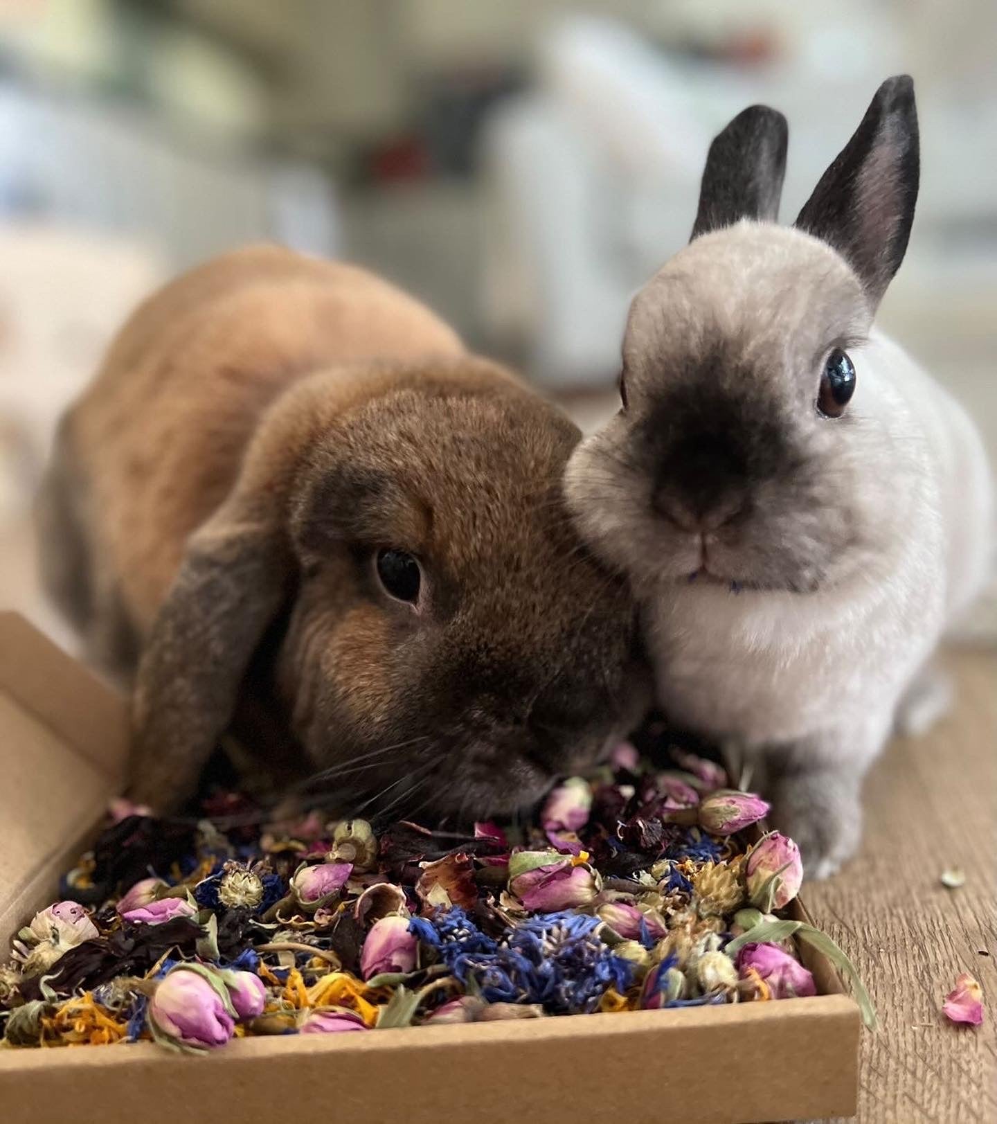 Birthday Confetti Mini Forage Box