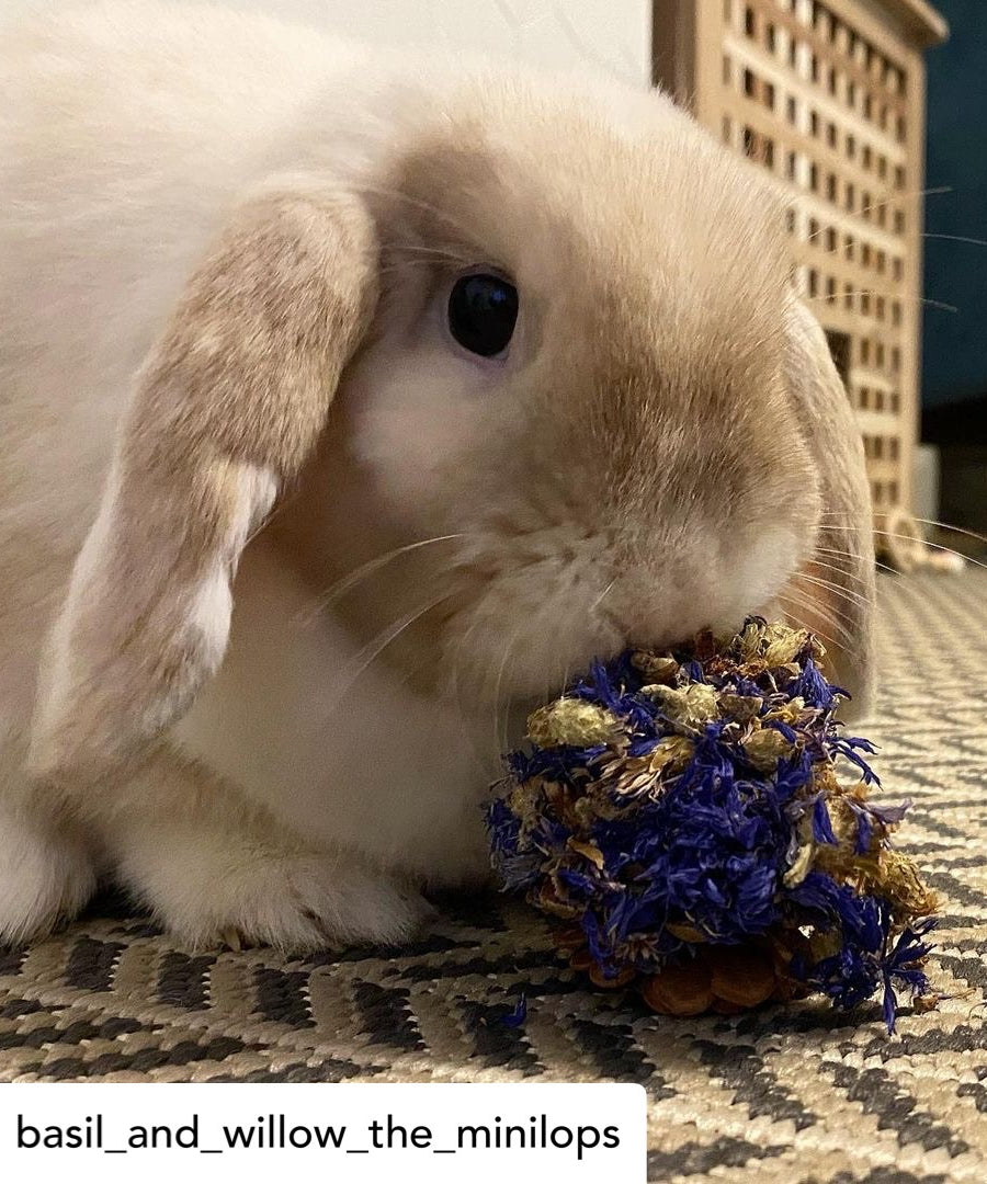 Floral Pine Cone Chew Toy