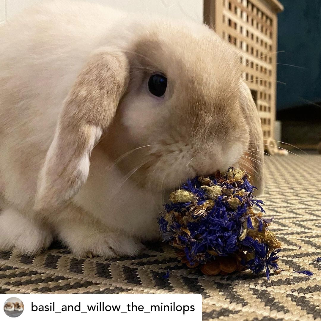 Floral Pine Cone Chew Toy
