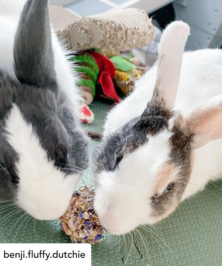Floral Pine Cone Chew Toy