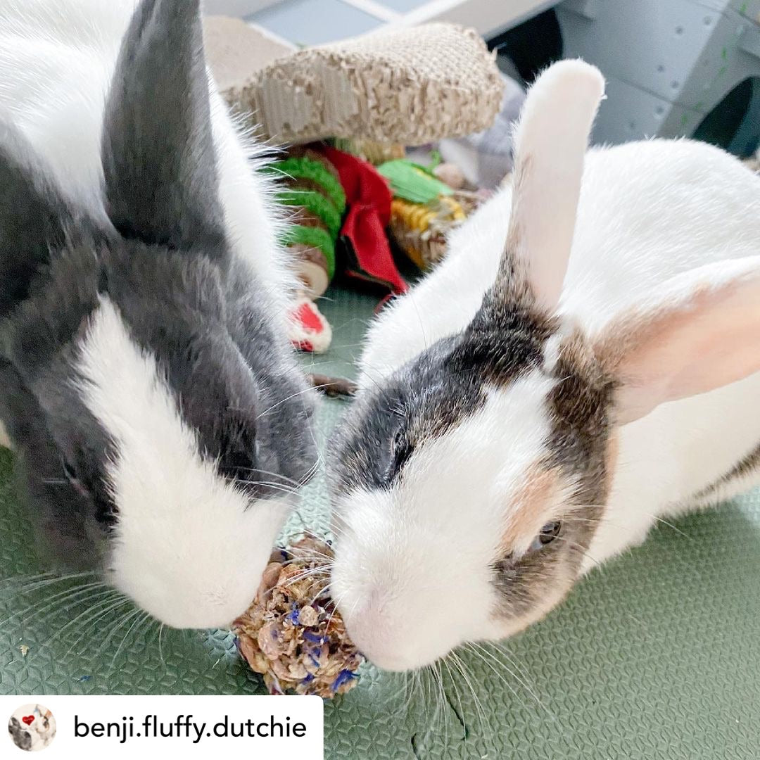 Floral Pine Cone Chew Toy