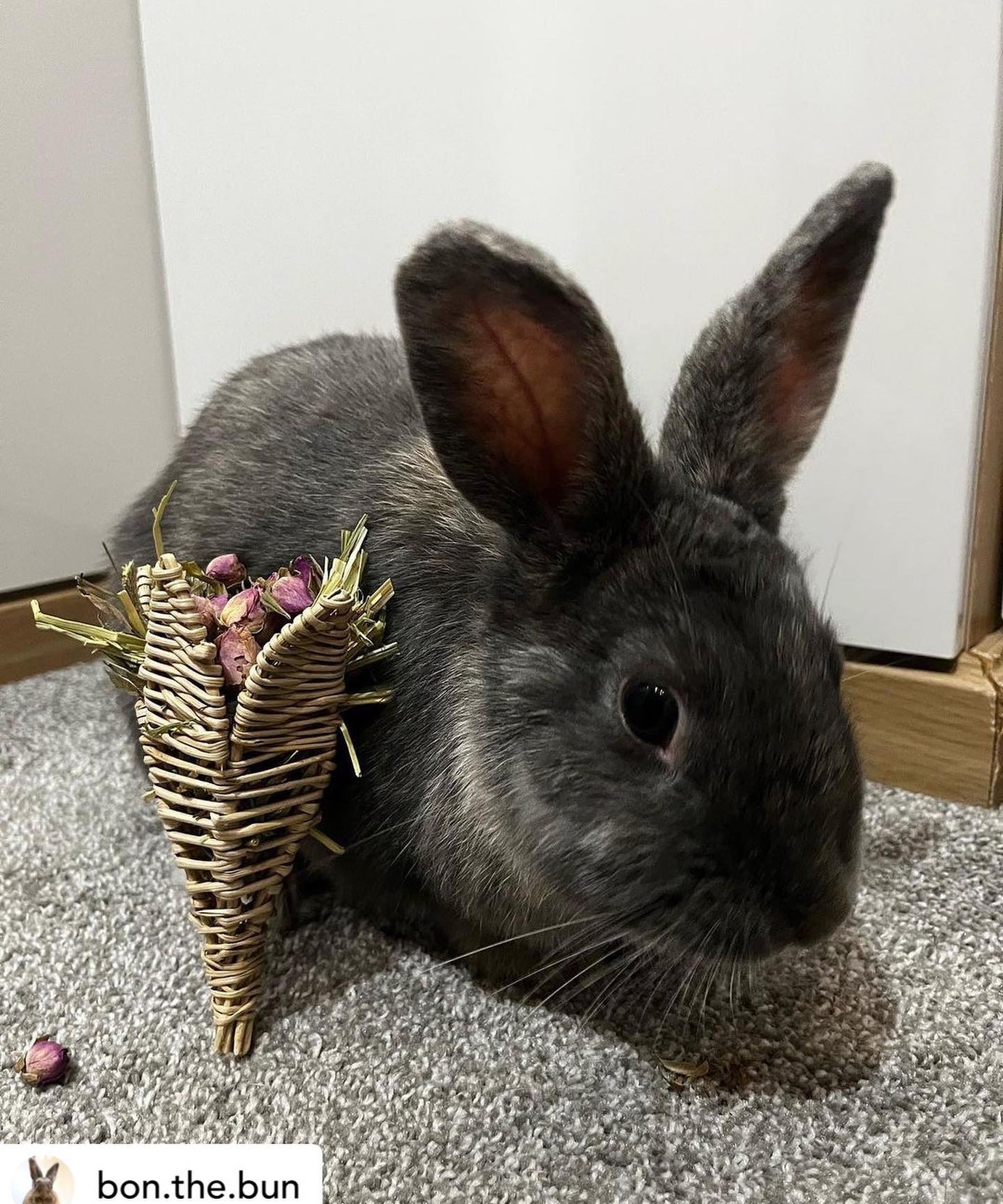 Valentine's Bunch Toy