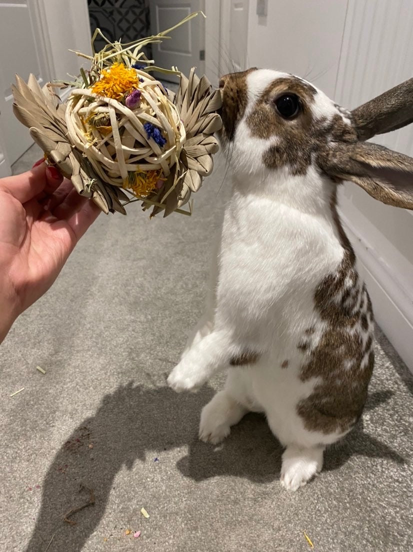 Palm Flower Forage Toy