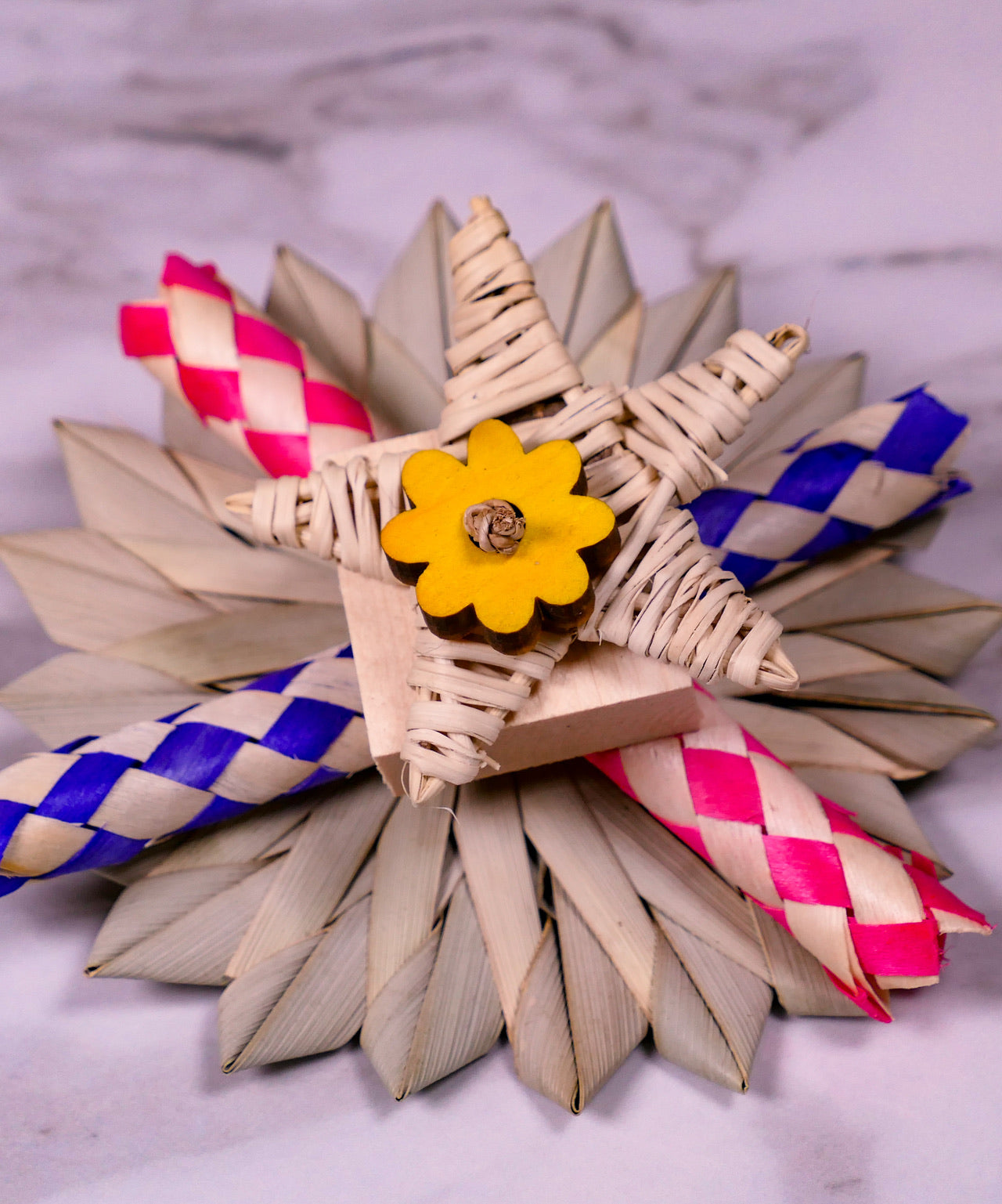 Puzzle Party Chew Toy