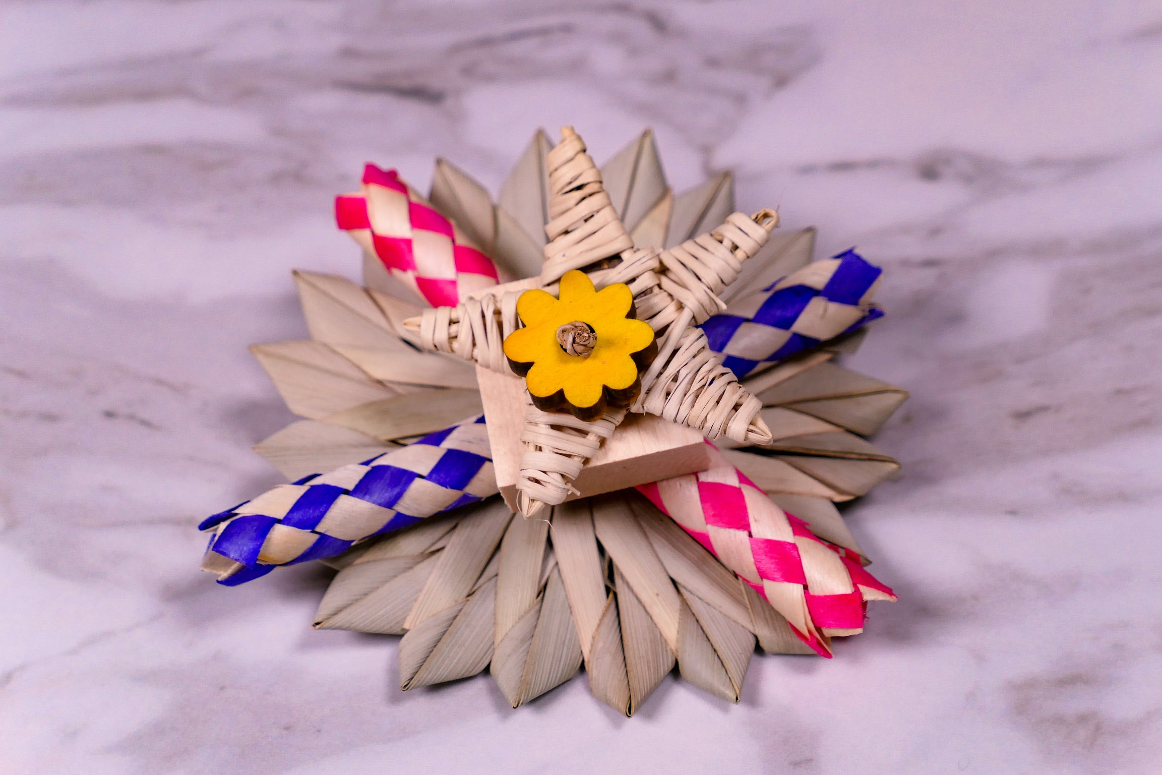 Puzzle Party Chew Toy