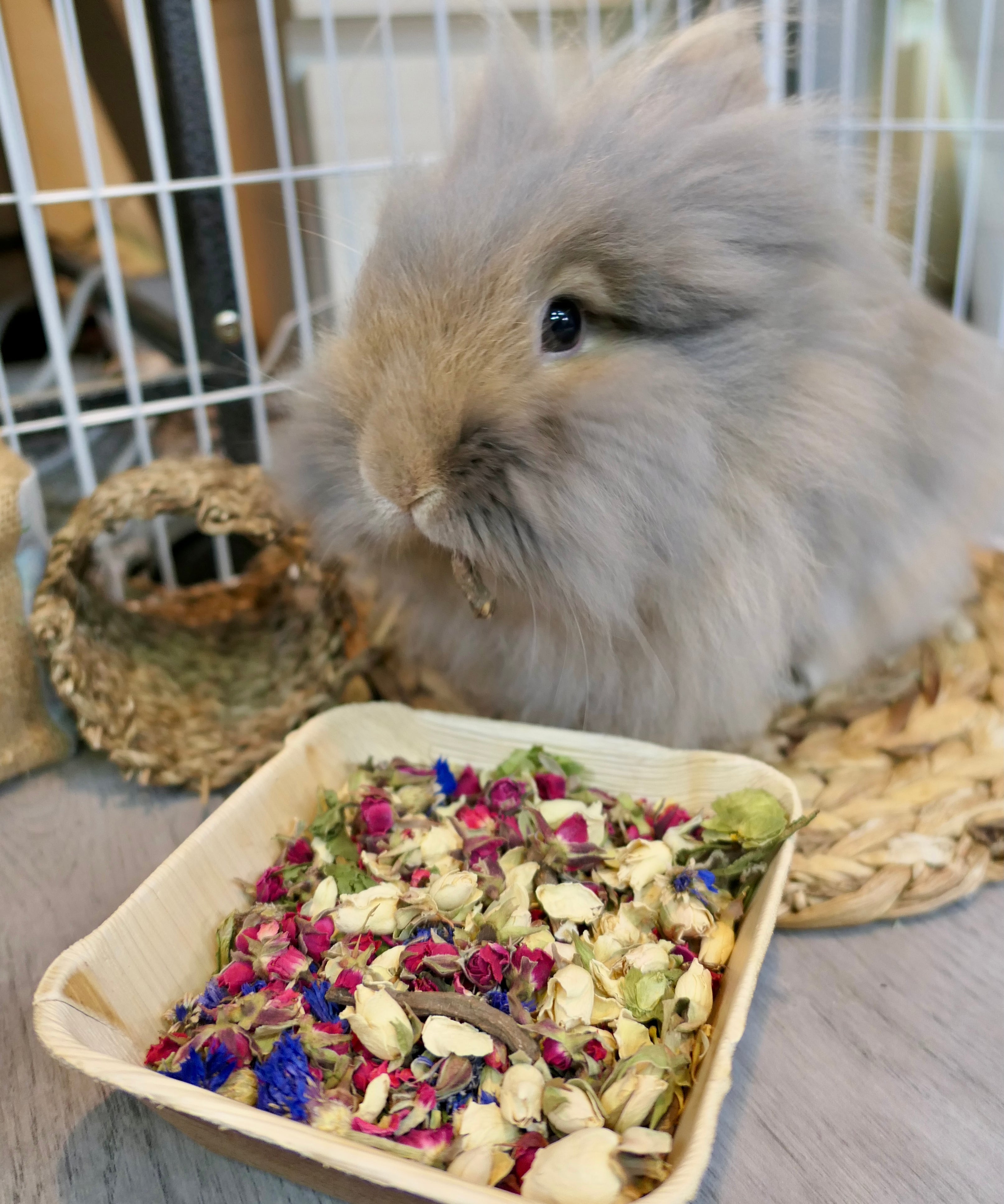 Christmas Forage Dinner