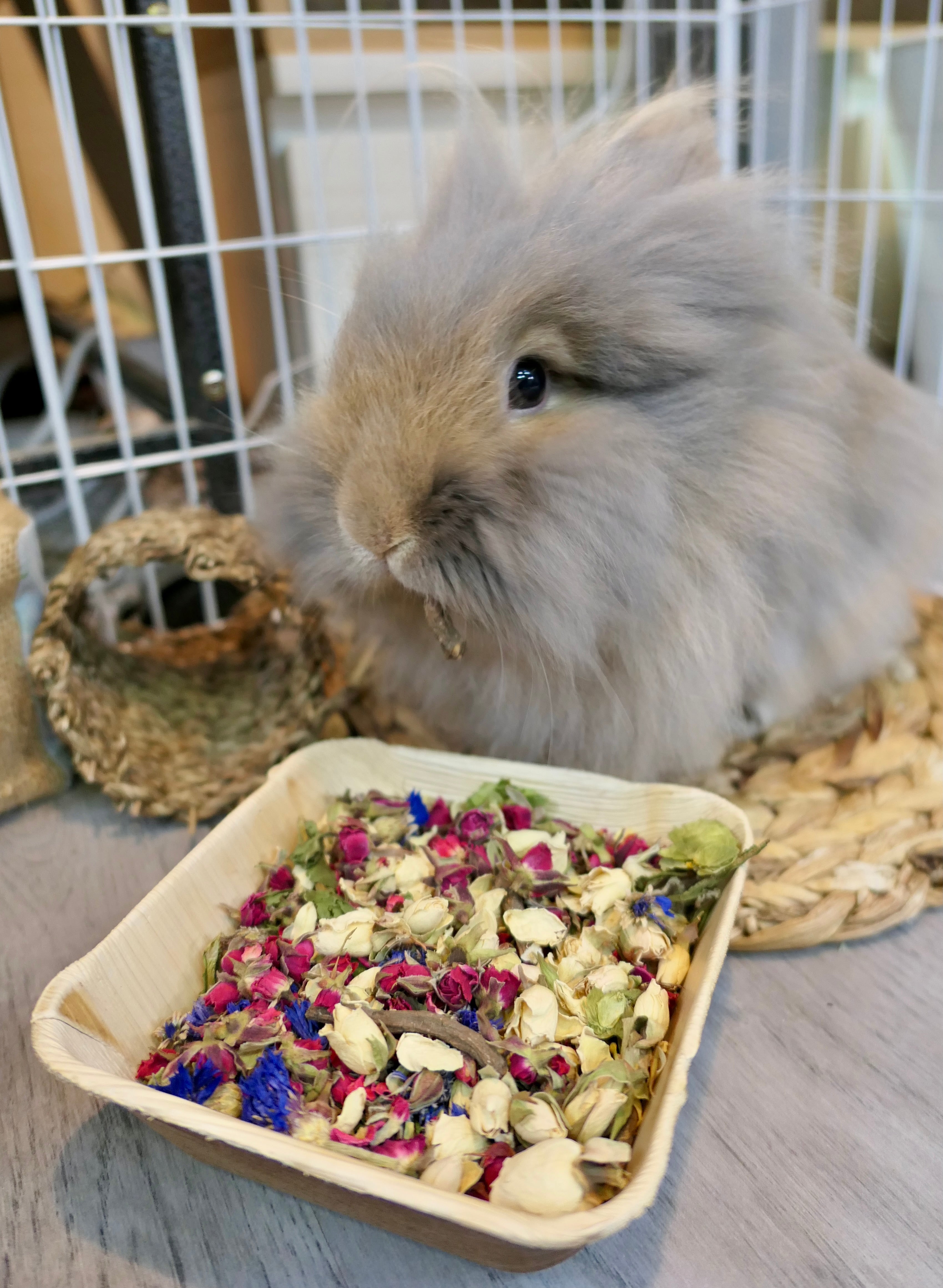 Christmas Forage Dinner