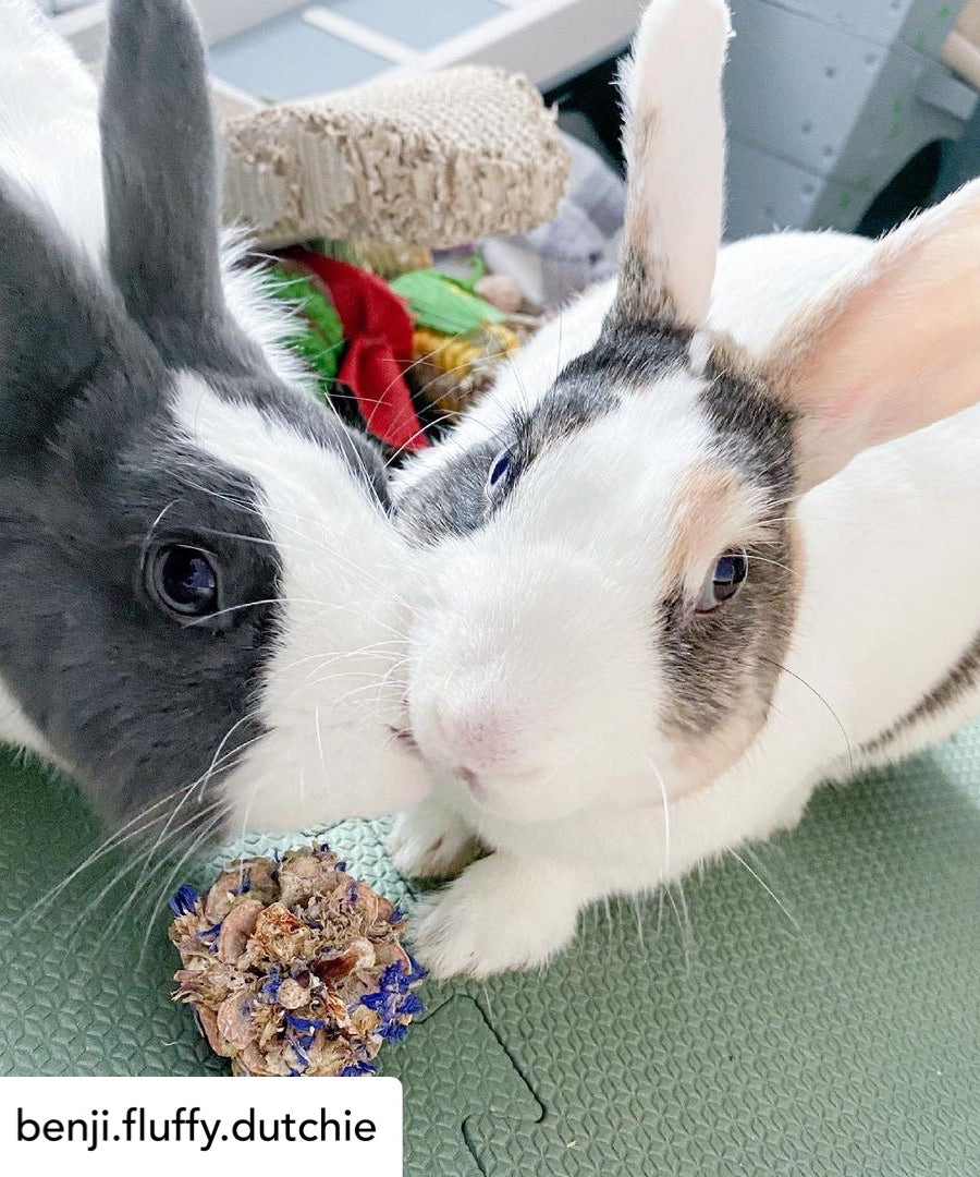 Floral Pine Cone Chew Toy