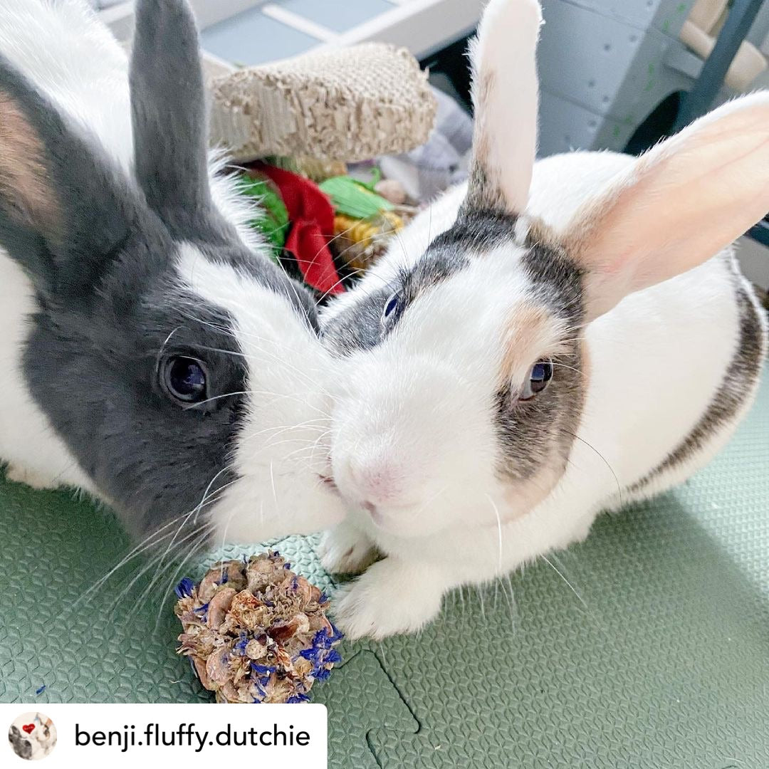Floral Pine Cone Chew Toy