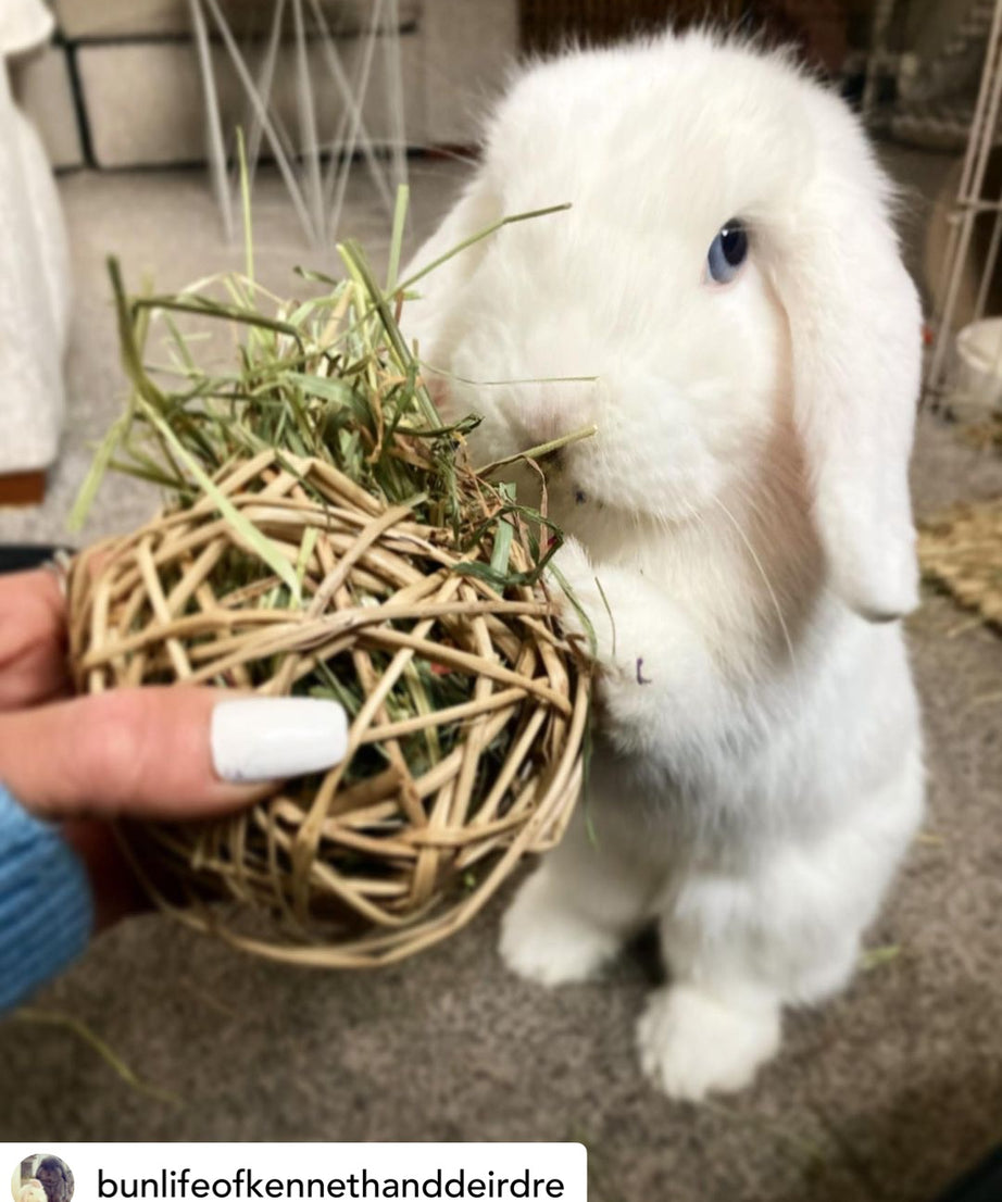 Timothy Hay & Flower Stuffed Vine Nest