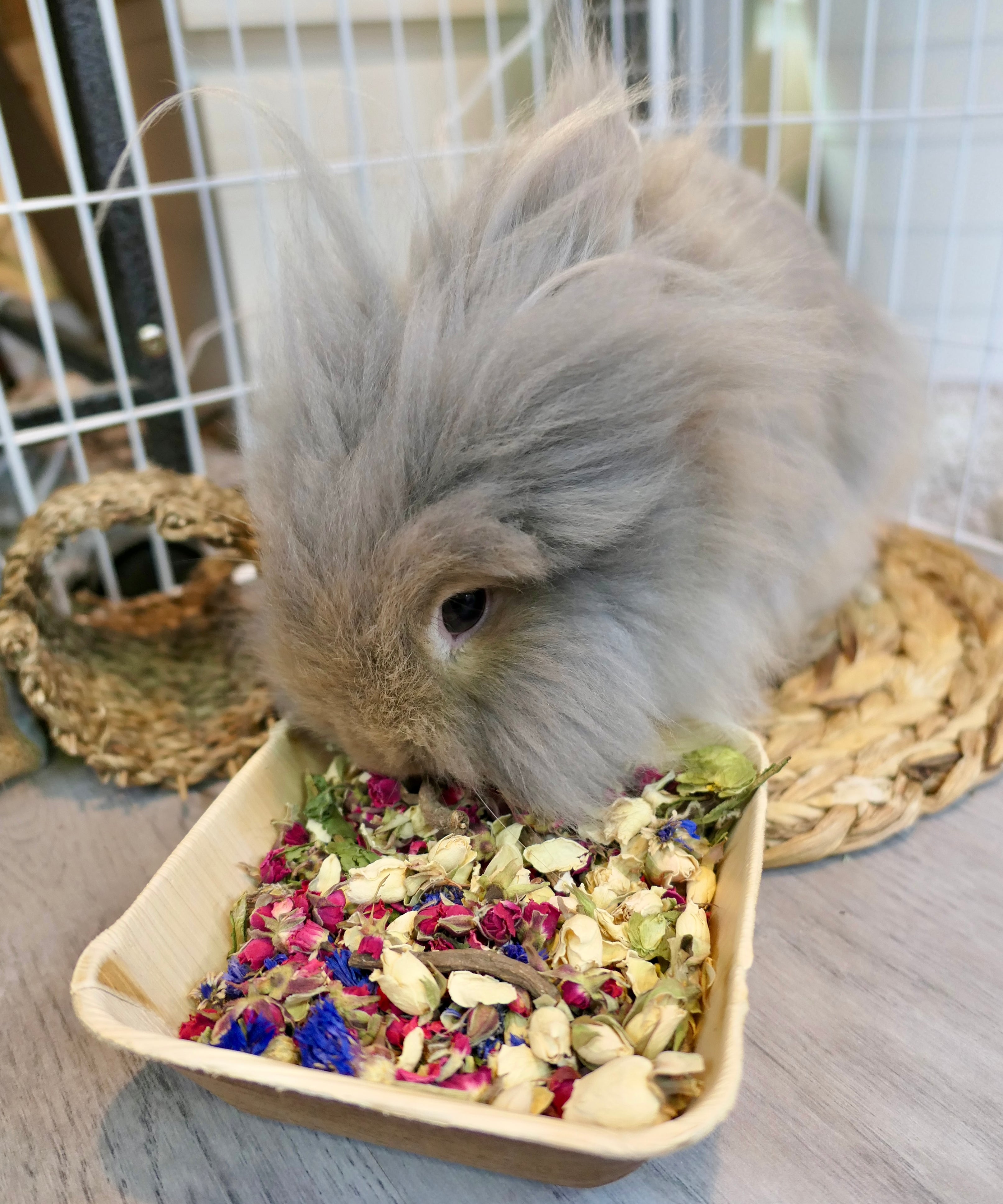 Christmas Forage Dinner