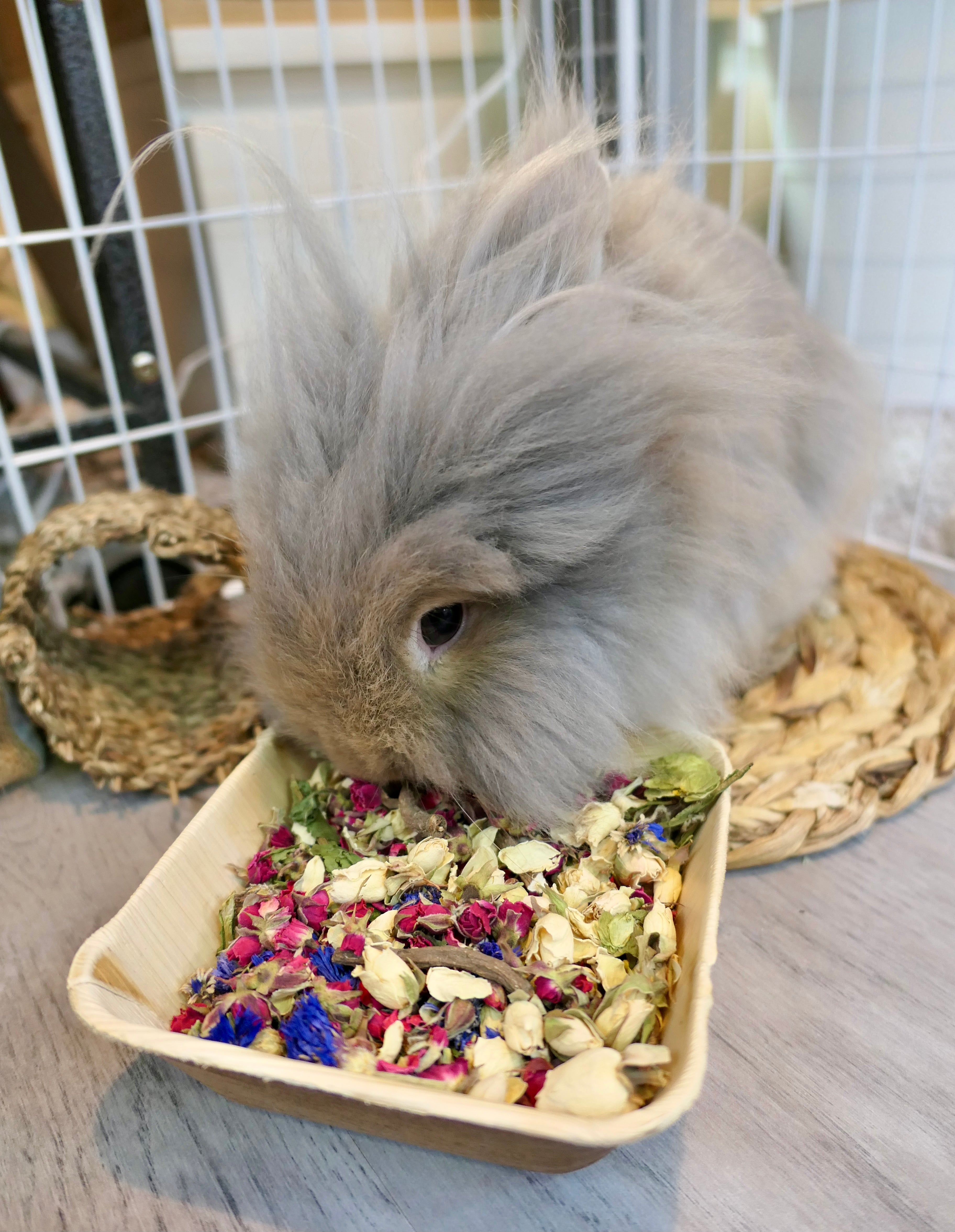 Christmas Forage Dinner