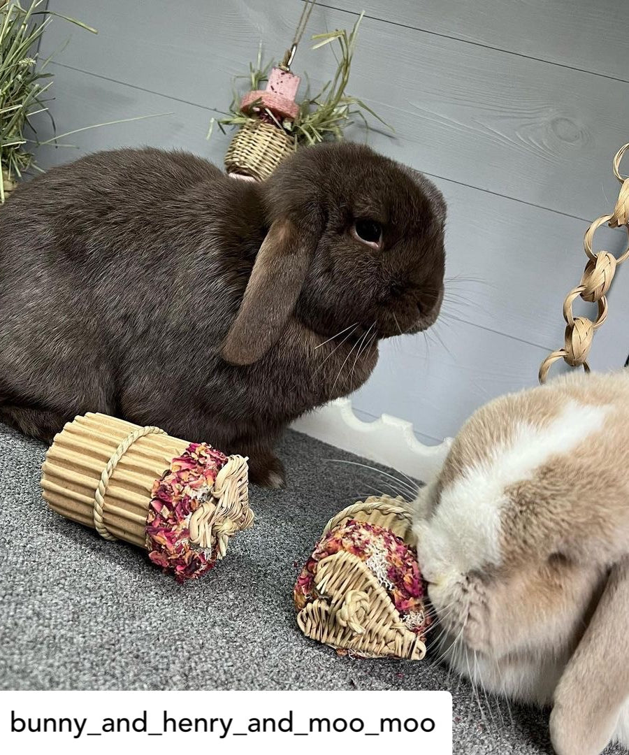 Rose Heart Cupcake Chew Toy
