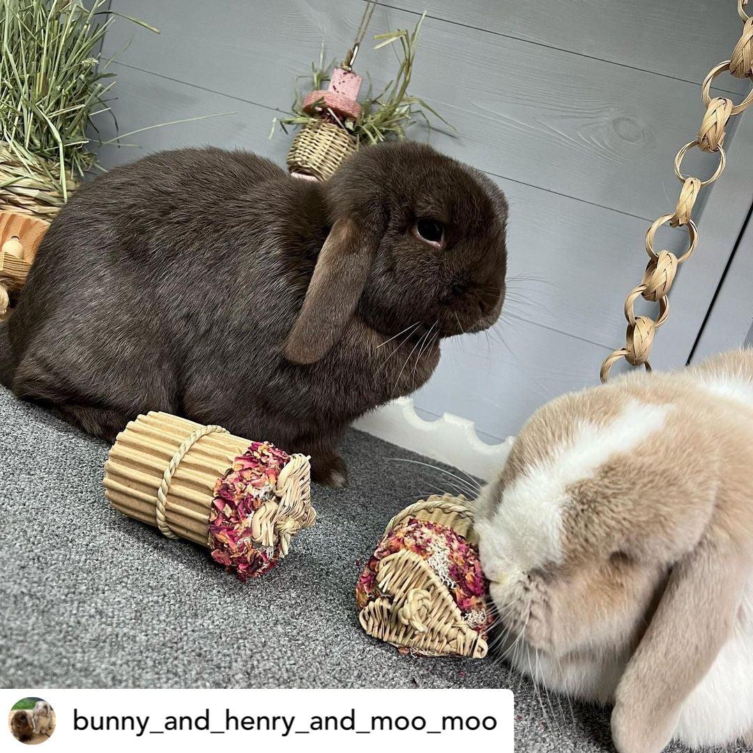 Rose Heart Cupcake Chew Toy