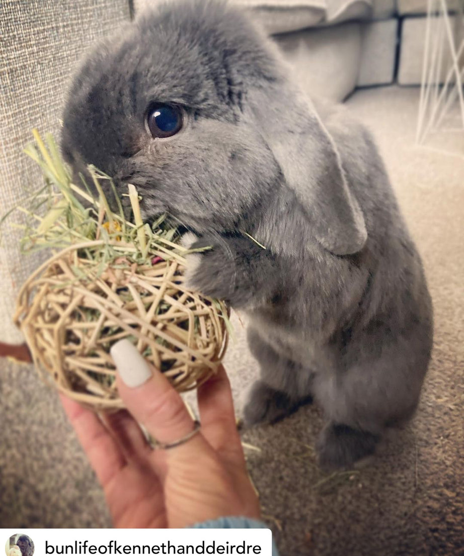 Timothy Hay & Flower Stuffed Vine Nest