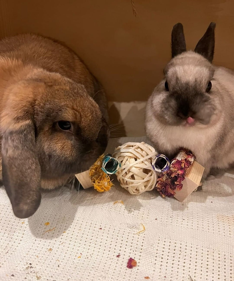 Floral Loofah Throw Chew Toy