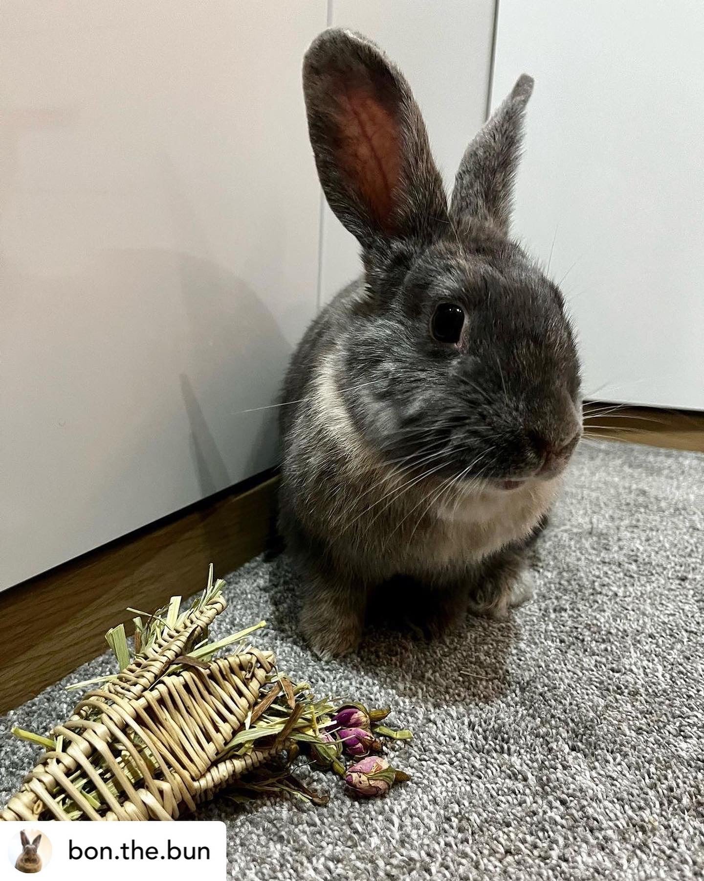 Valentine's Bunch Toy