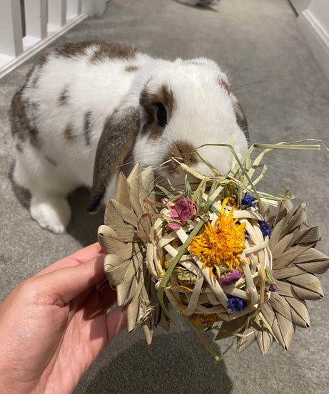 Palm Flower Forage Toy