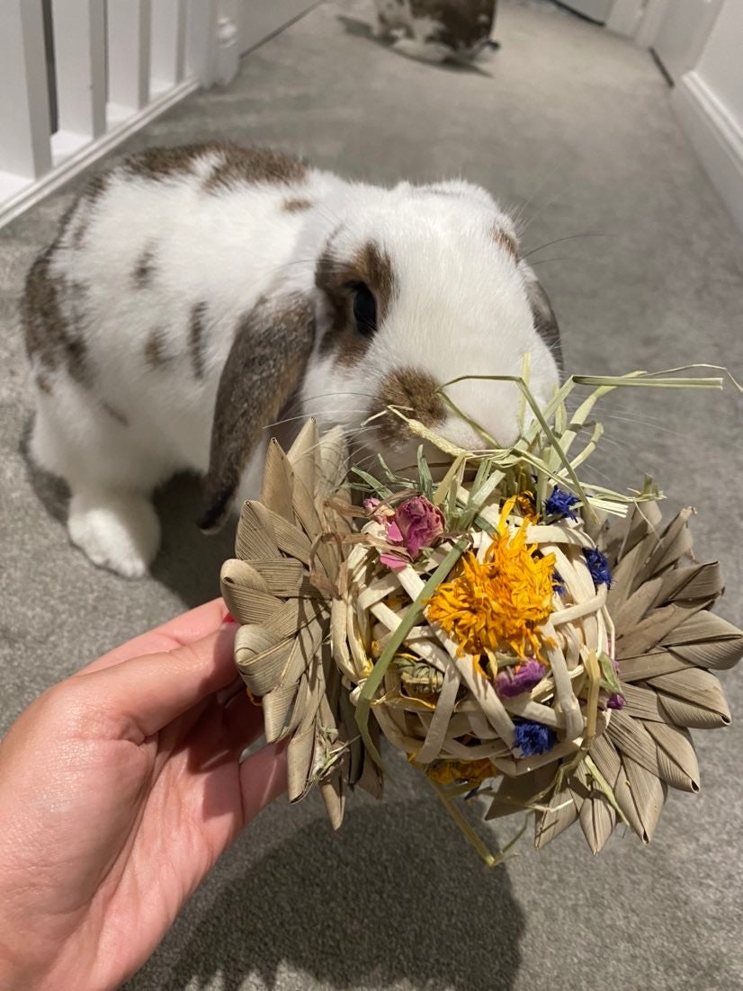Palm Flower Forage Toy