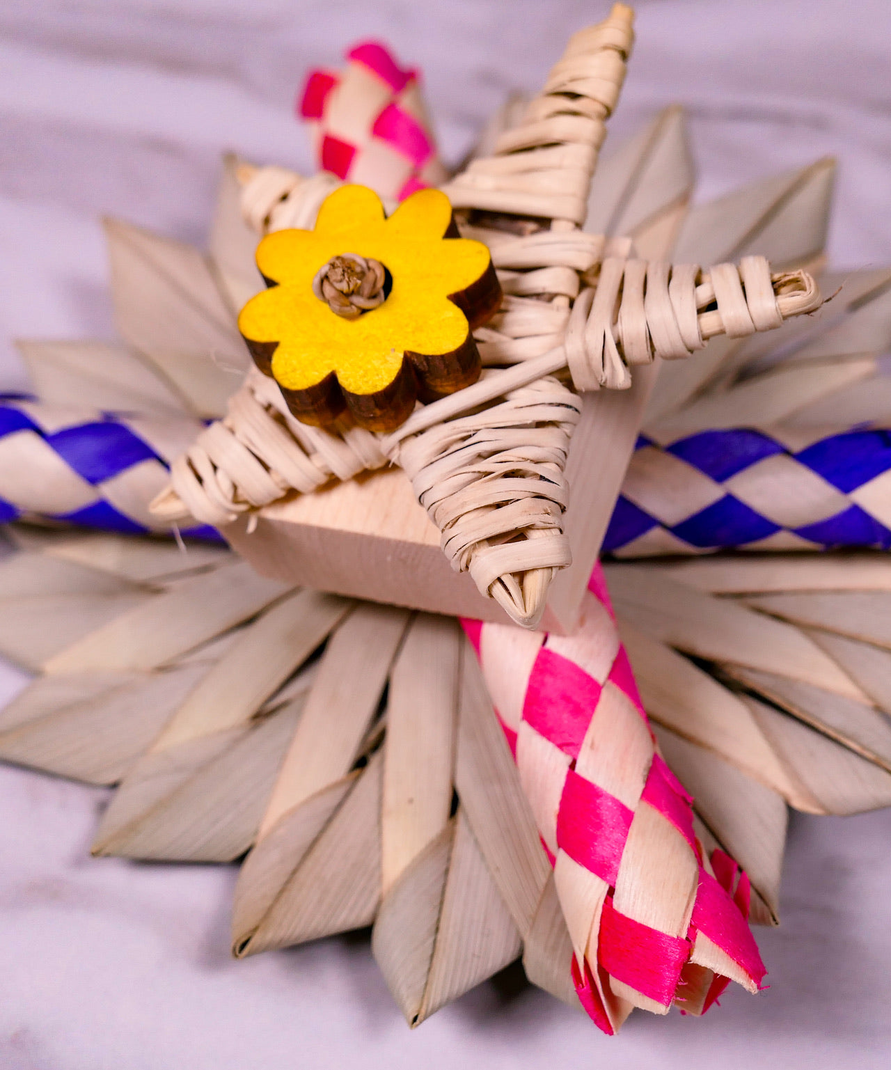 Puzzle Party Chew Toy