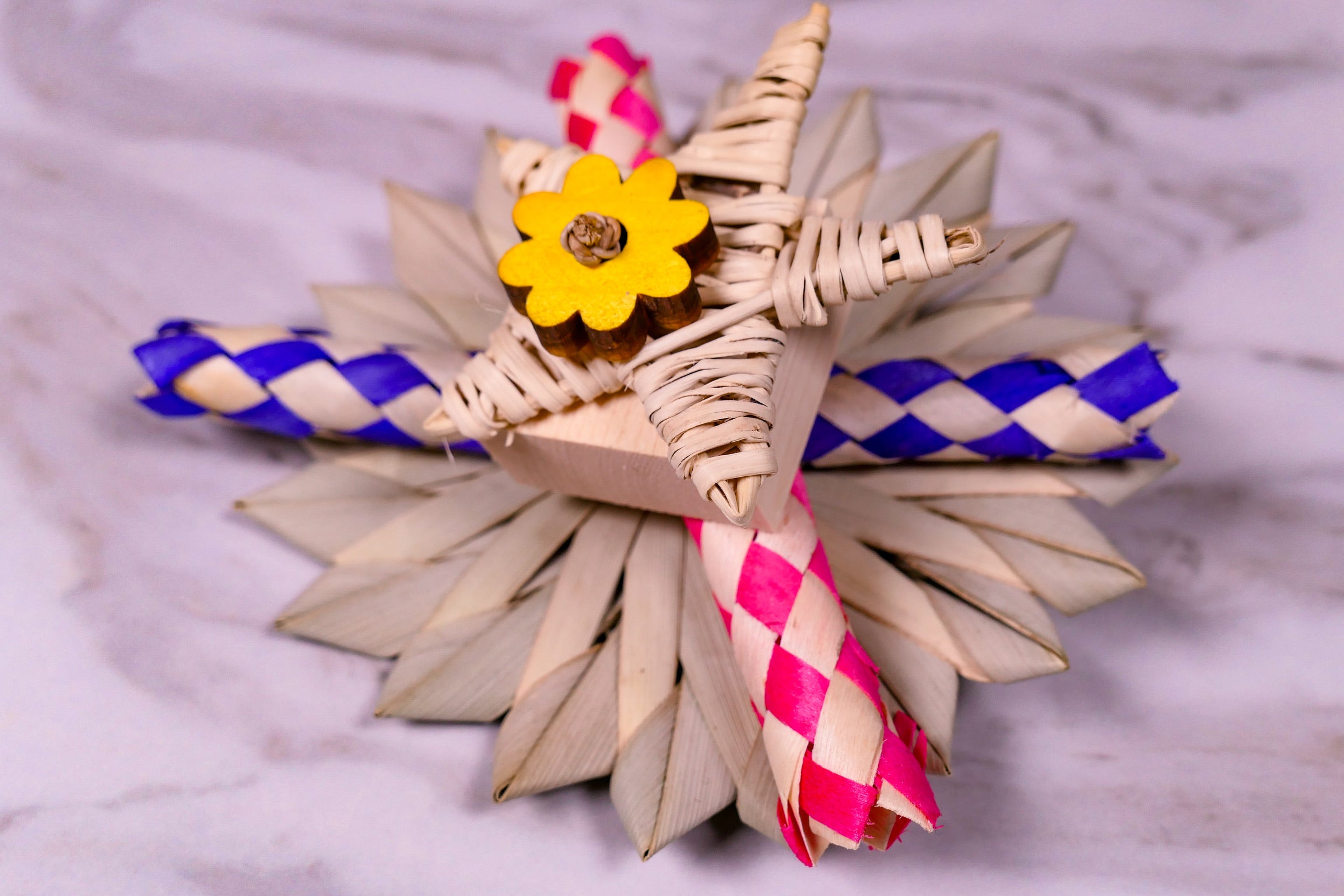 Puzzle Party Chew Toy