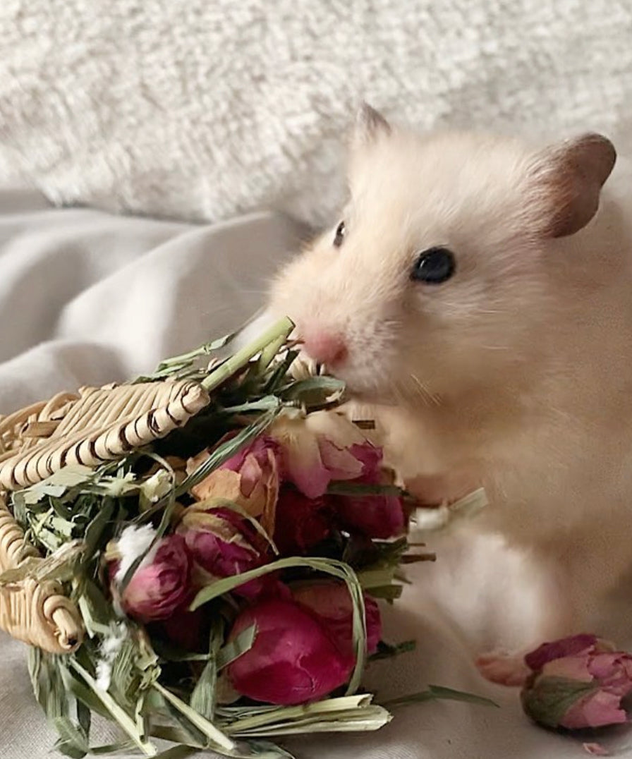 Valentine's Bunch Toy