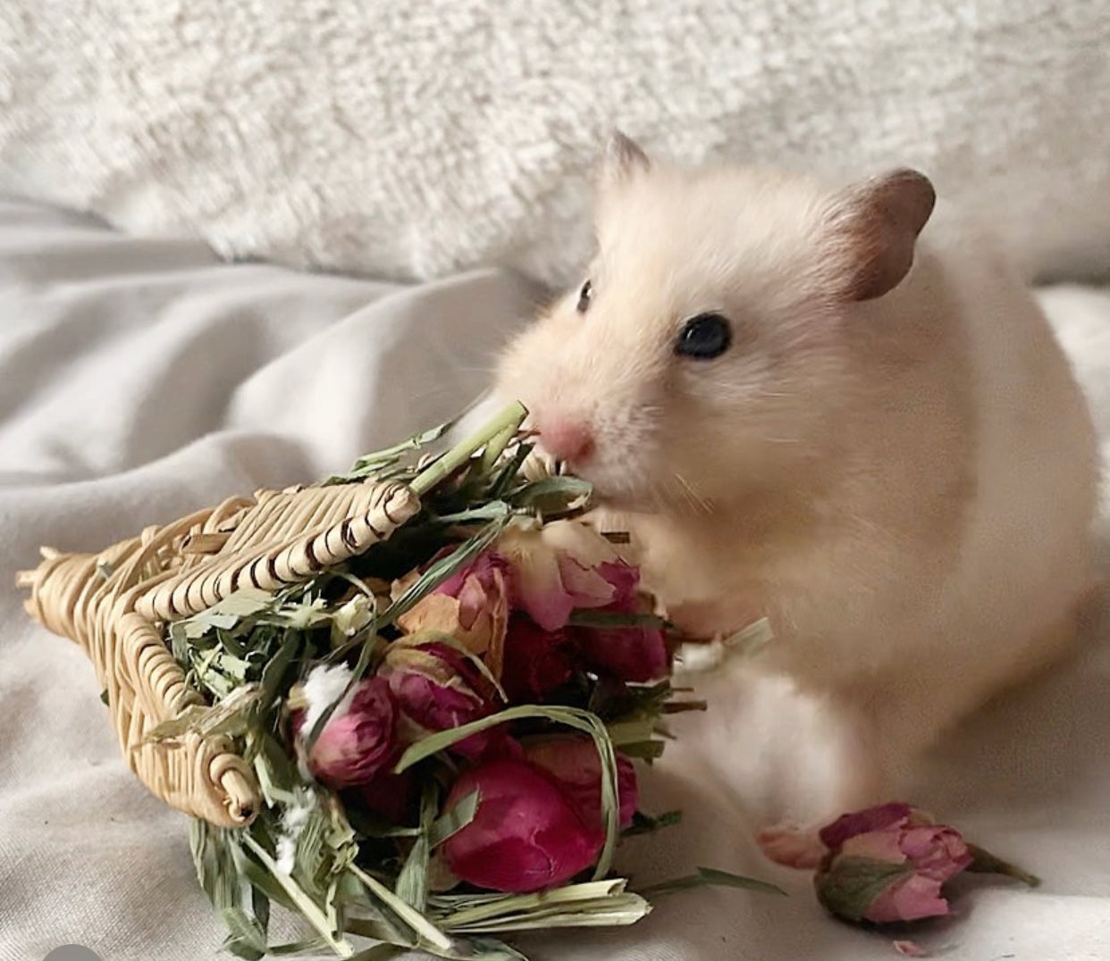 Valentine's Bunch Toy