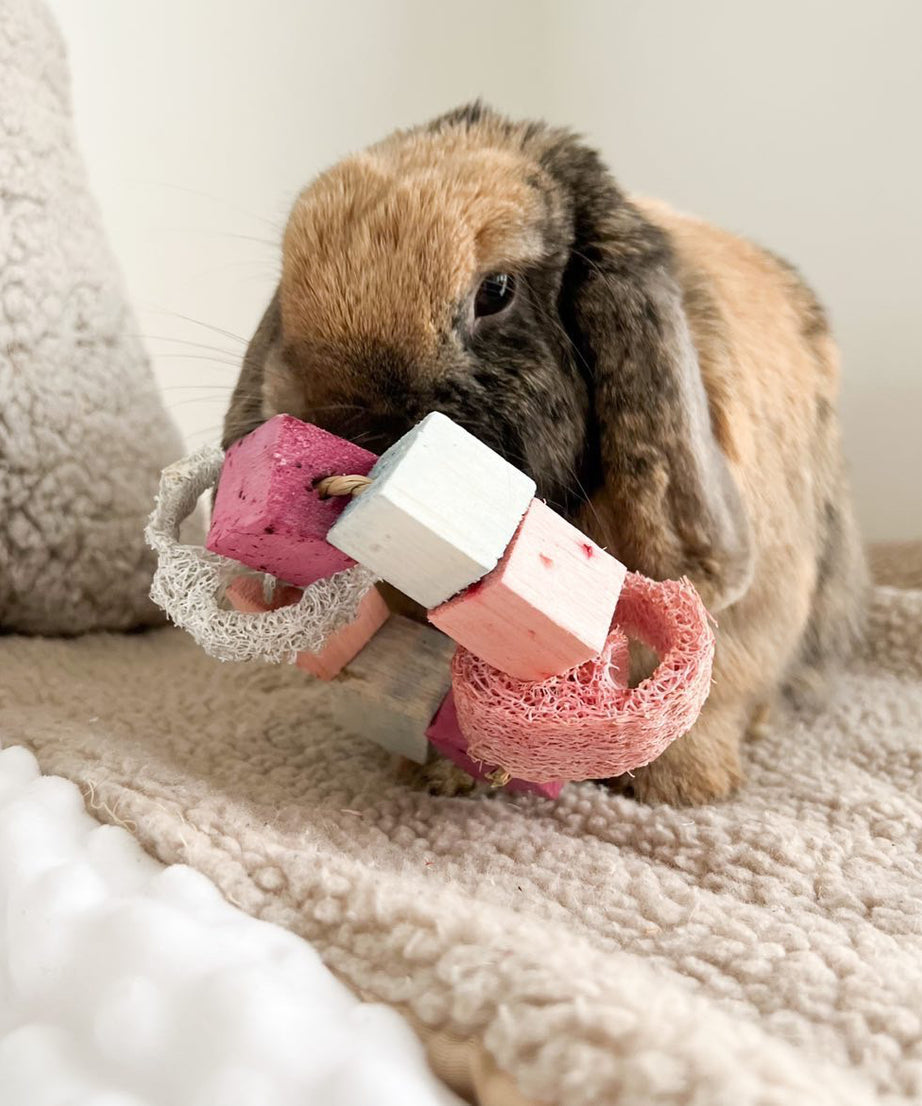 Infused Balsa and Loofah Hula Hoop Chew Toy