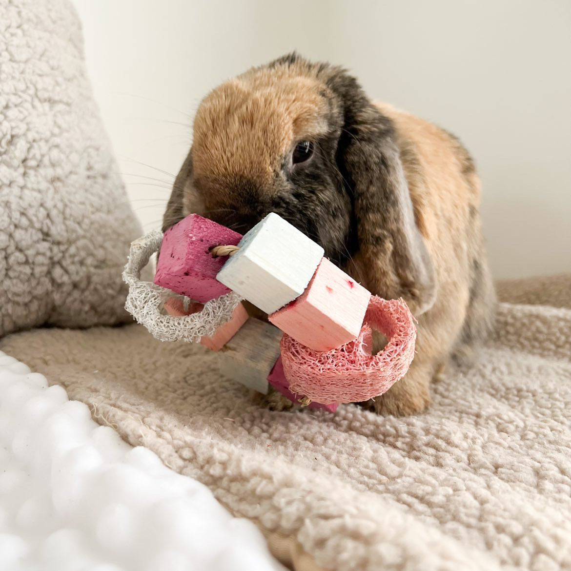 Infused Balsa and Loofah Hula Hoop Chew Toy