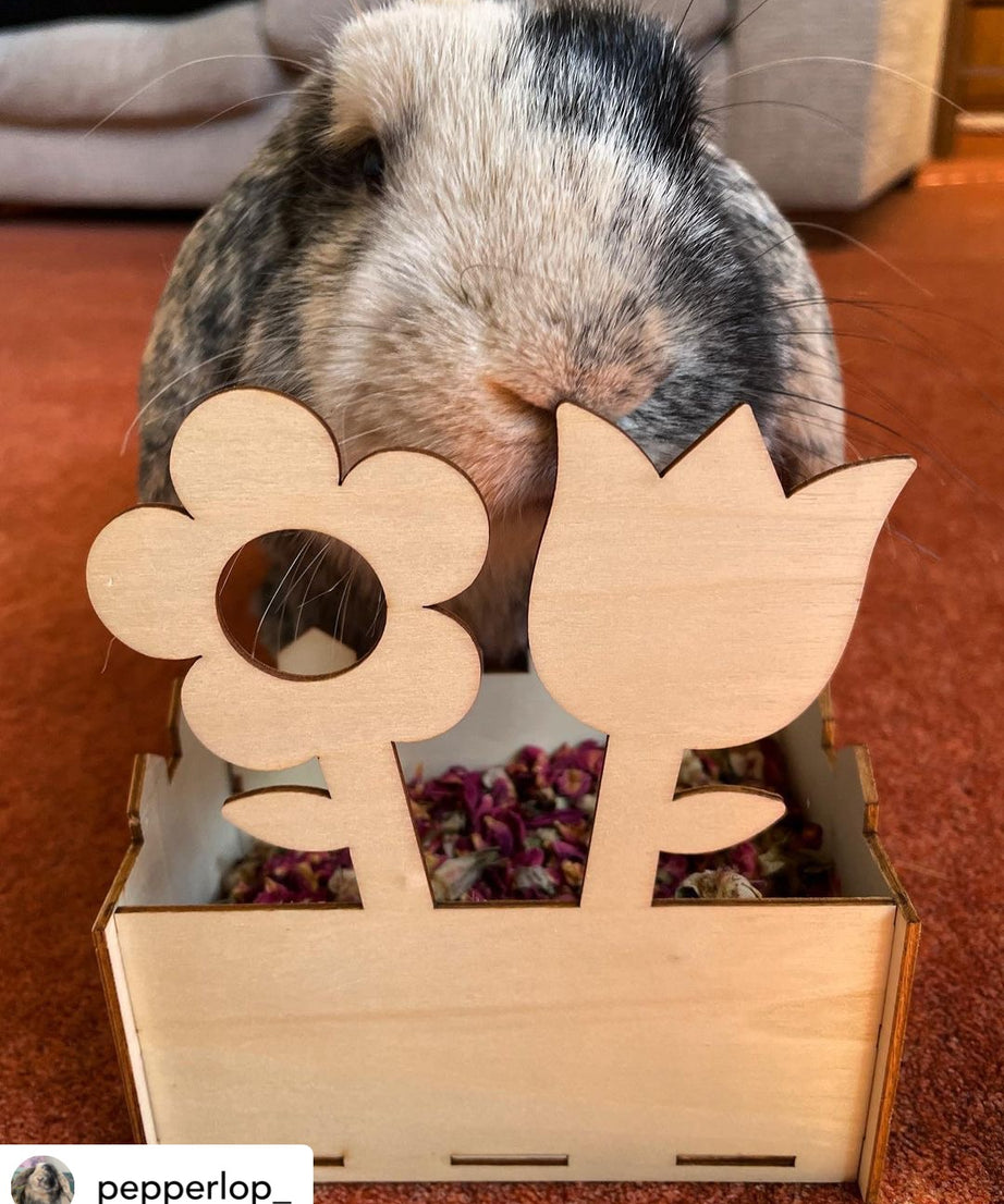 Flower Pot Forage Tray