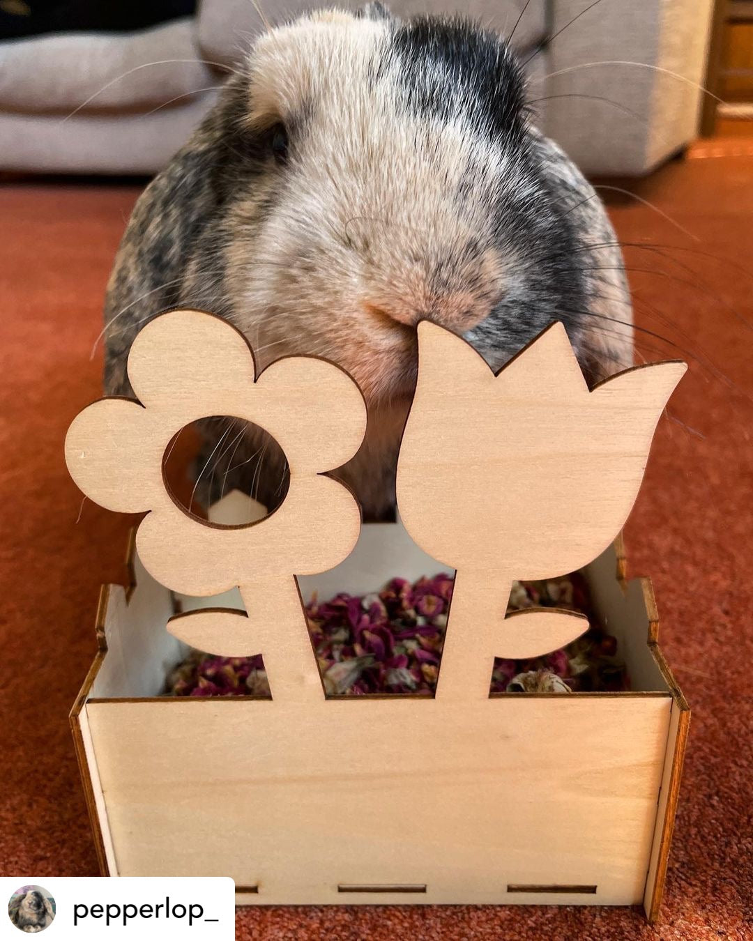 Flower Pot Forage Tray