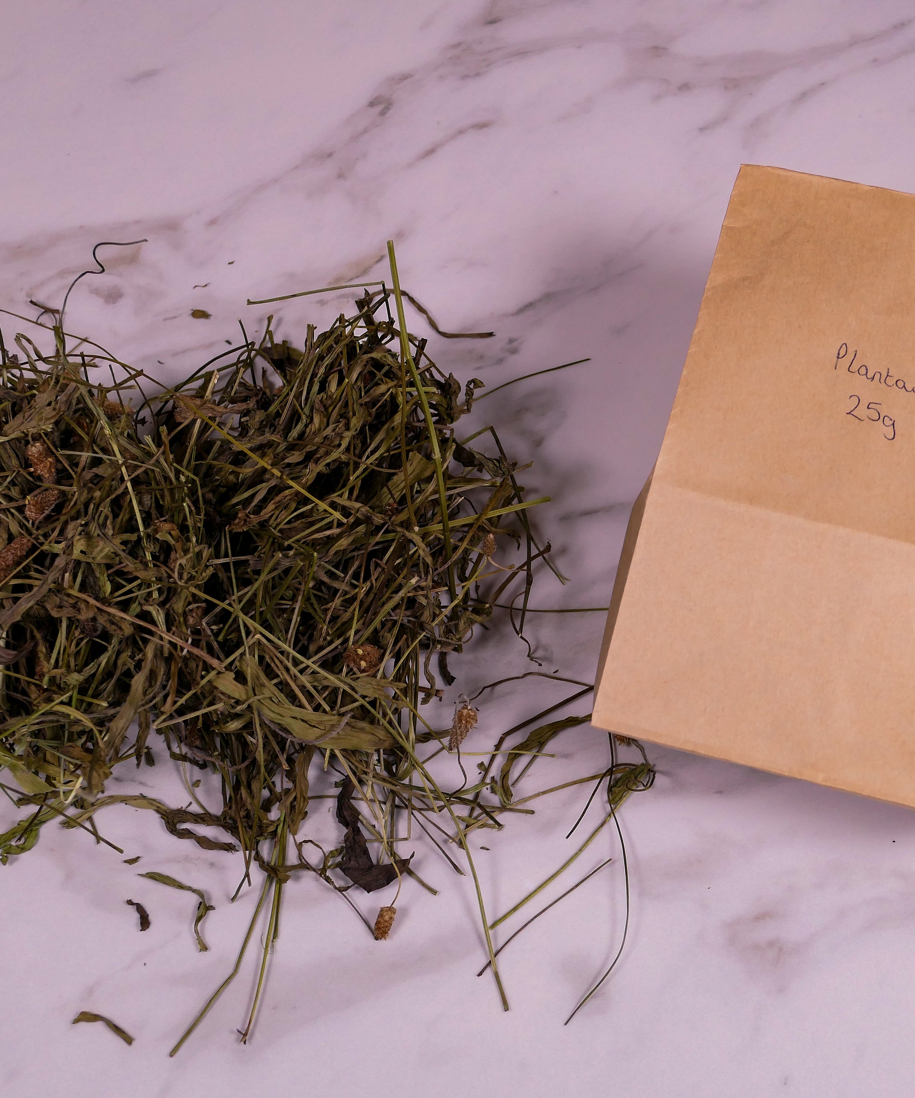 Bunny forage - Plantain