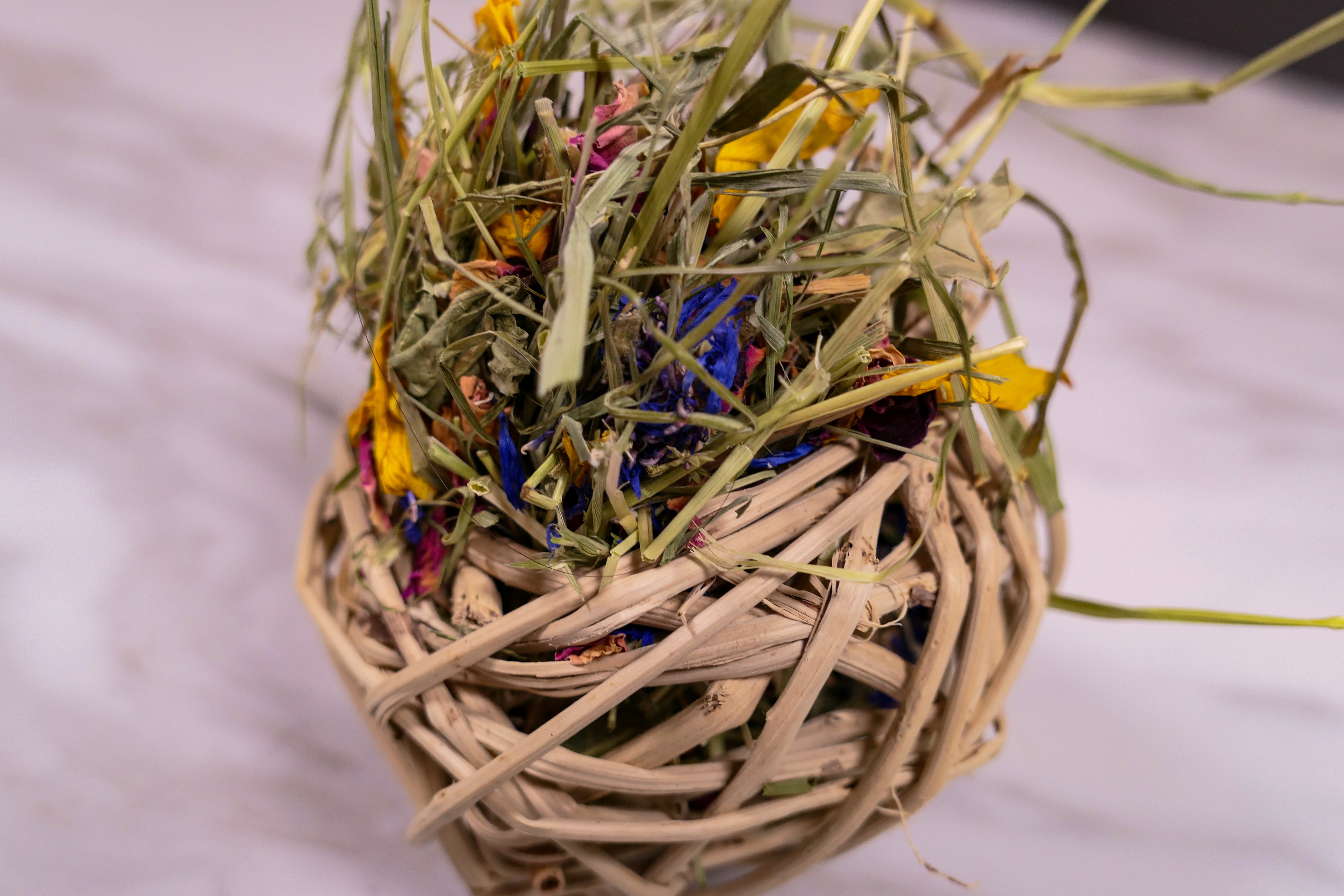 Timothy Hay & Flower Stuffed Vine Nest