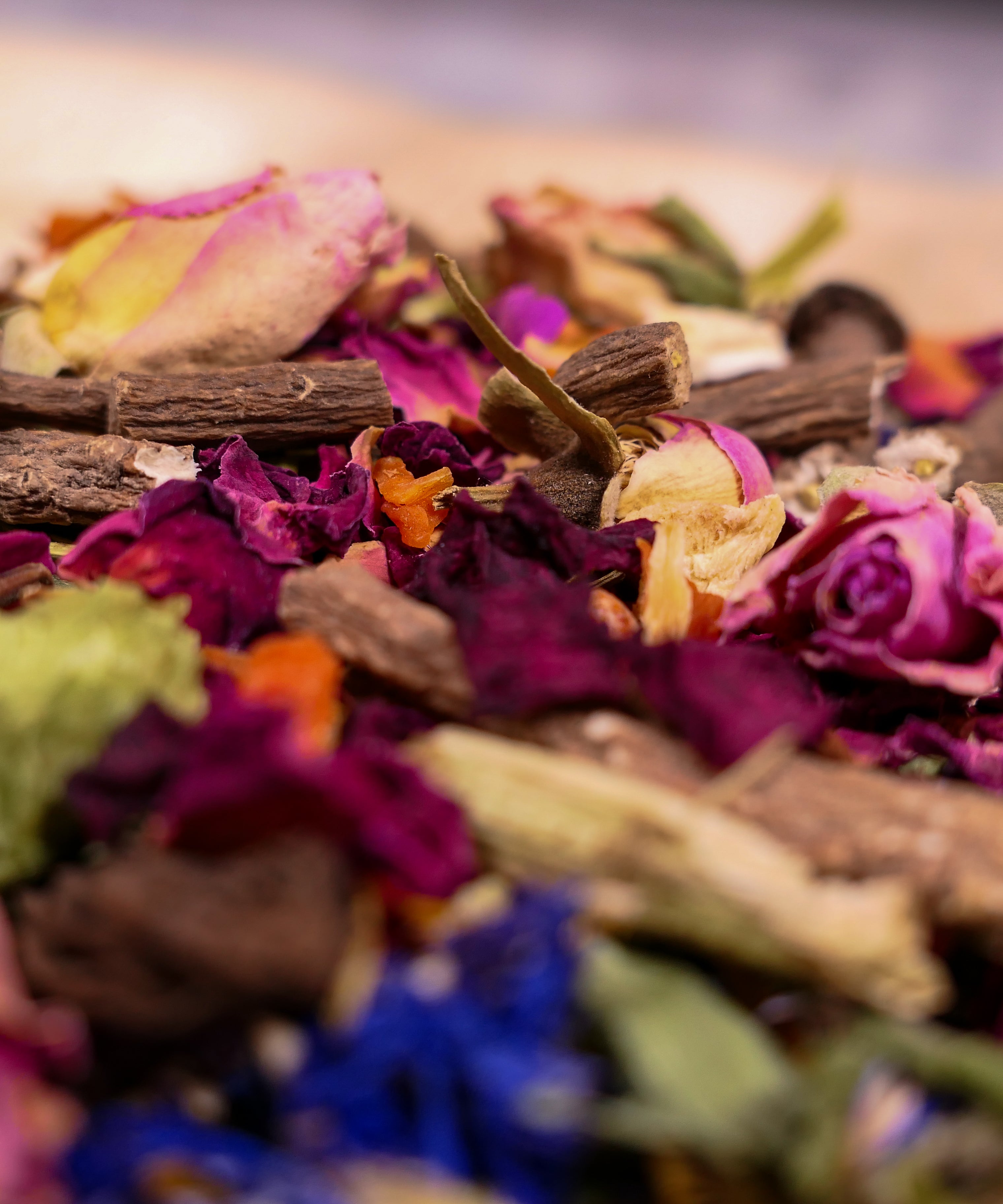 Teddy's favourite forage Tray