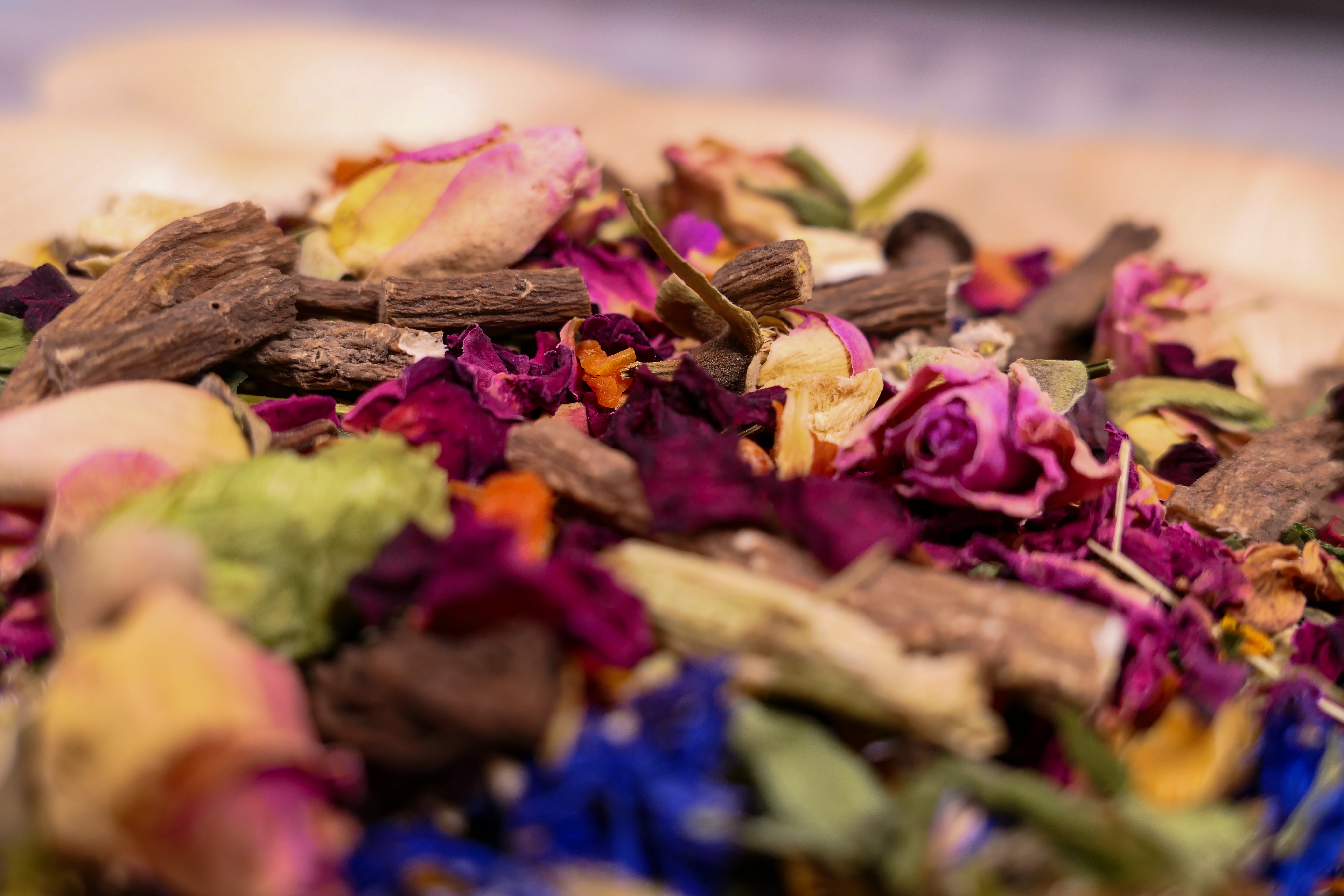 Teddy's favourite forage Tray