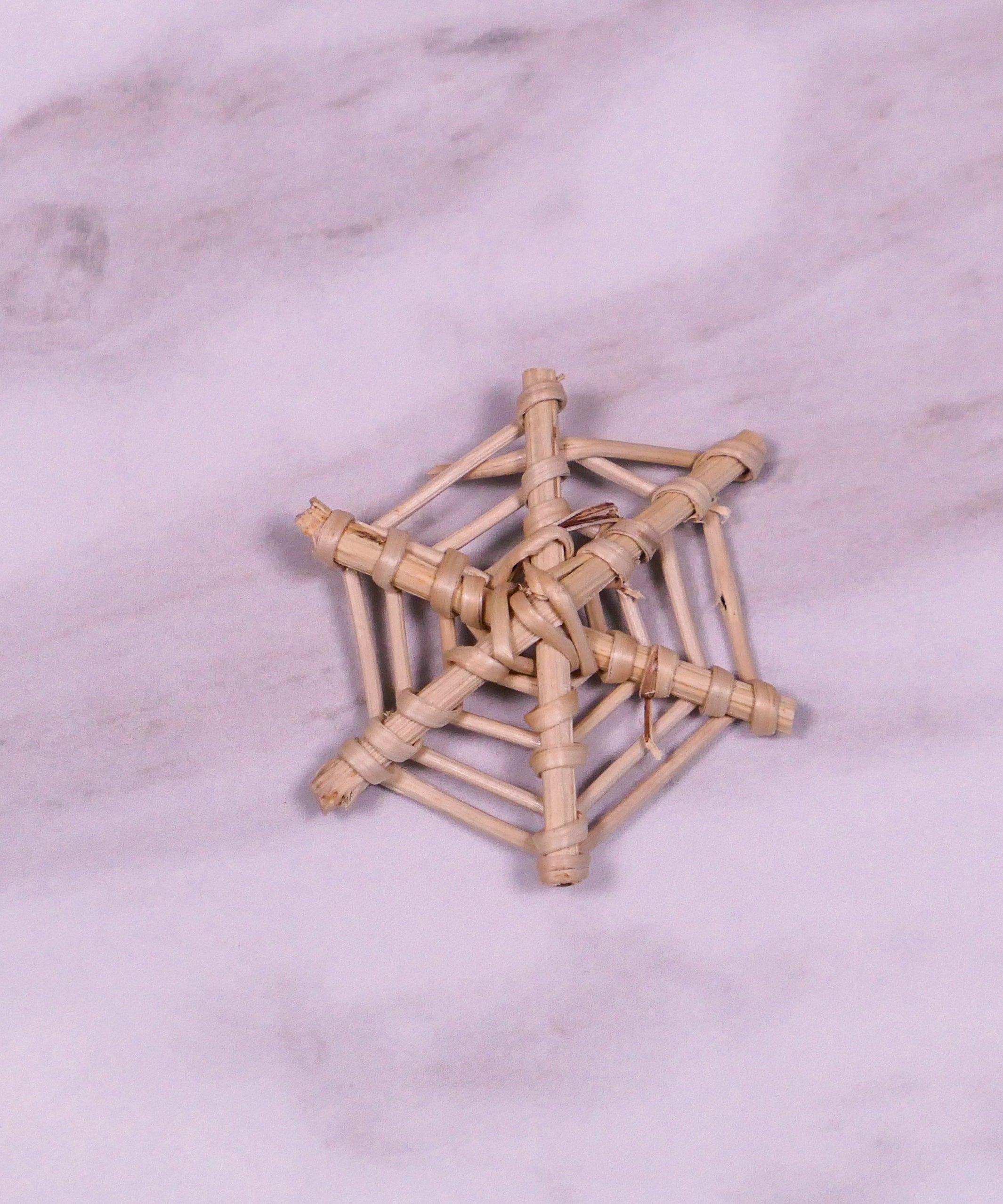 Mini Spider Web Vine Chew Toy