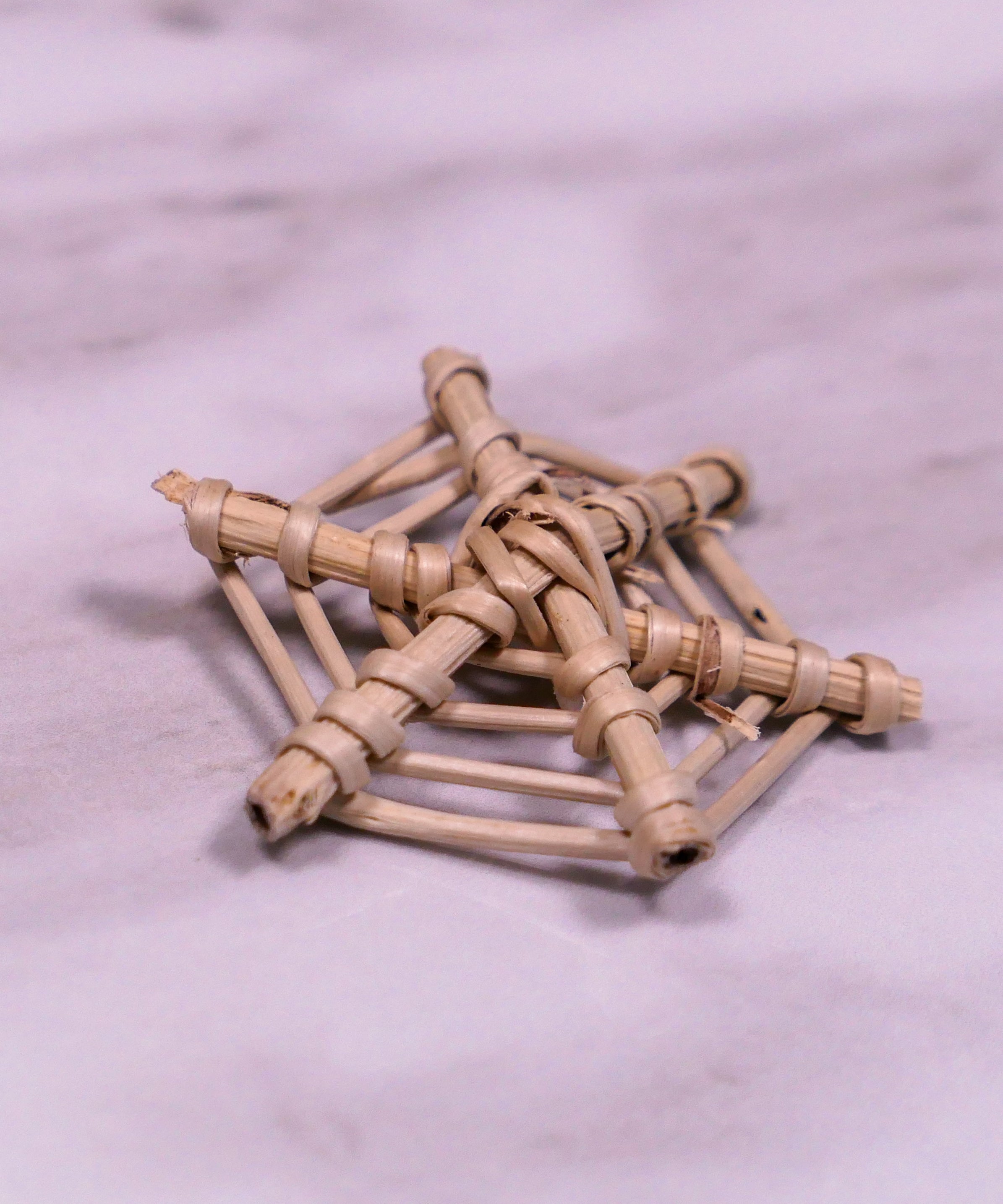 Mini Spider Web Vine Chew Toy